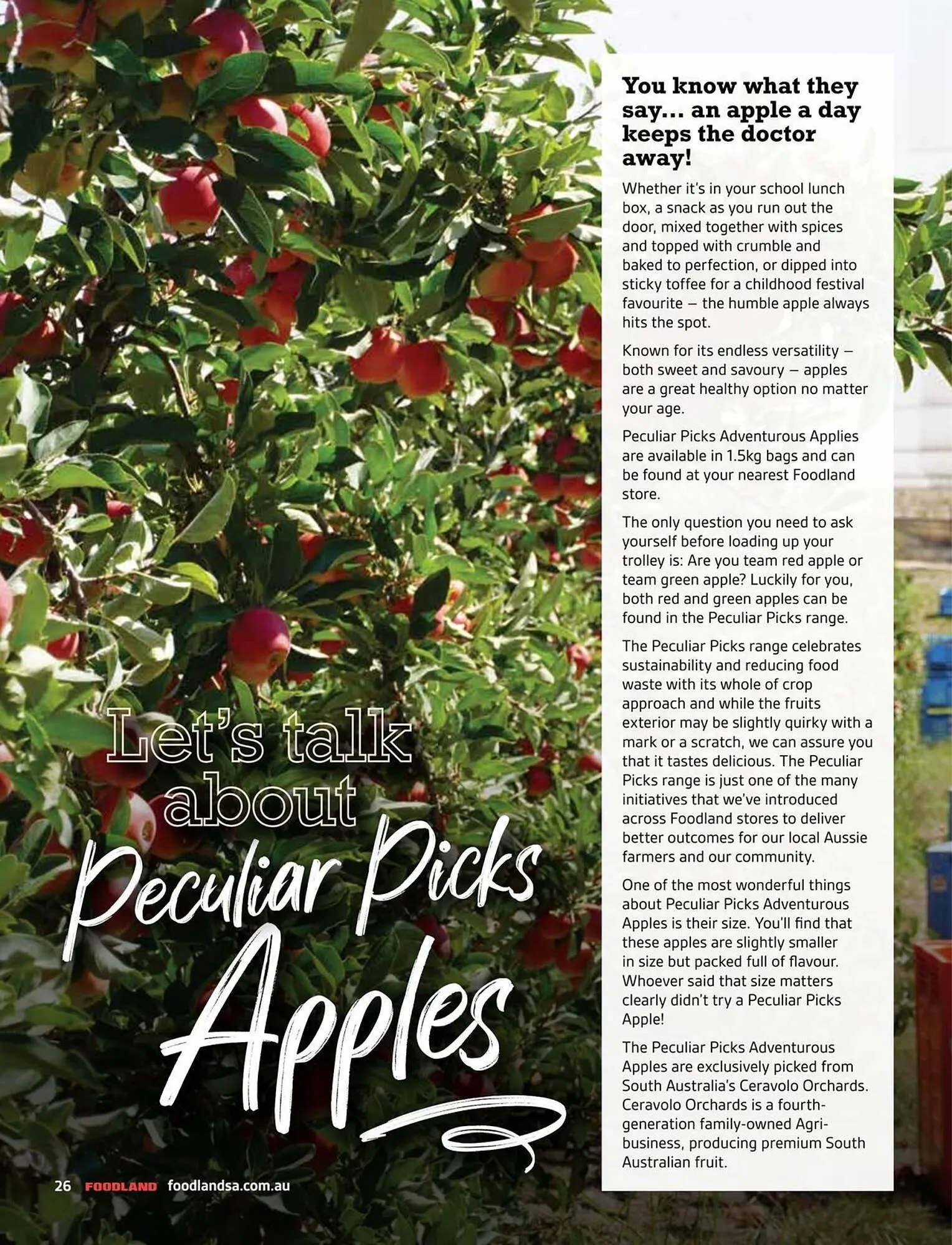 Foodland catalogue - Catalogue valid from 1 March to 30 September 2025 - page 26