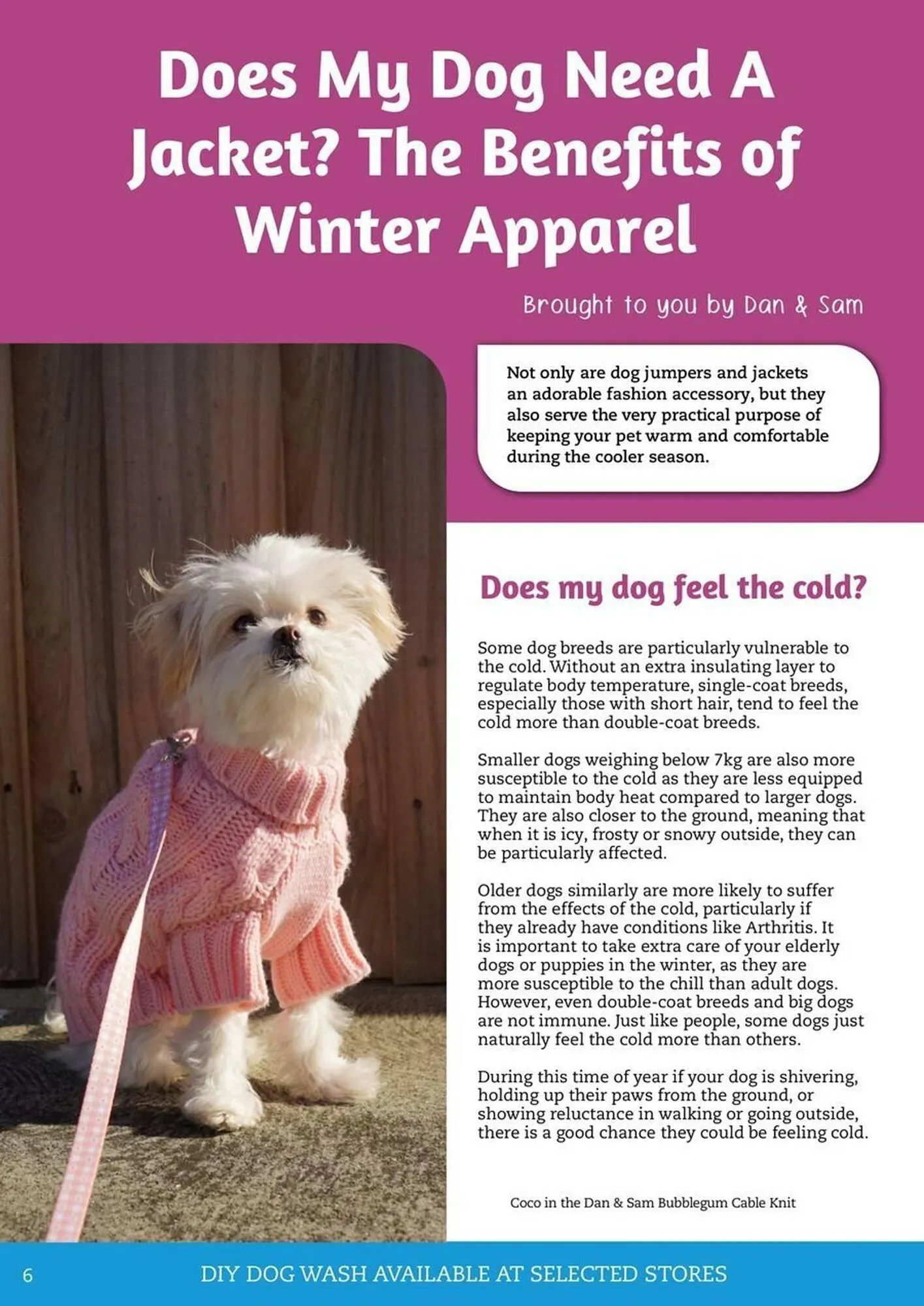 Pets Domain catalogue - Catalogue valid from 1 July to 30 September 2025 - page 6