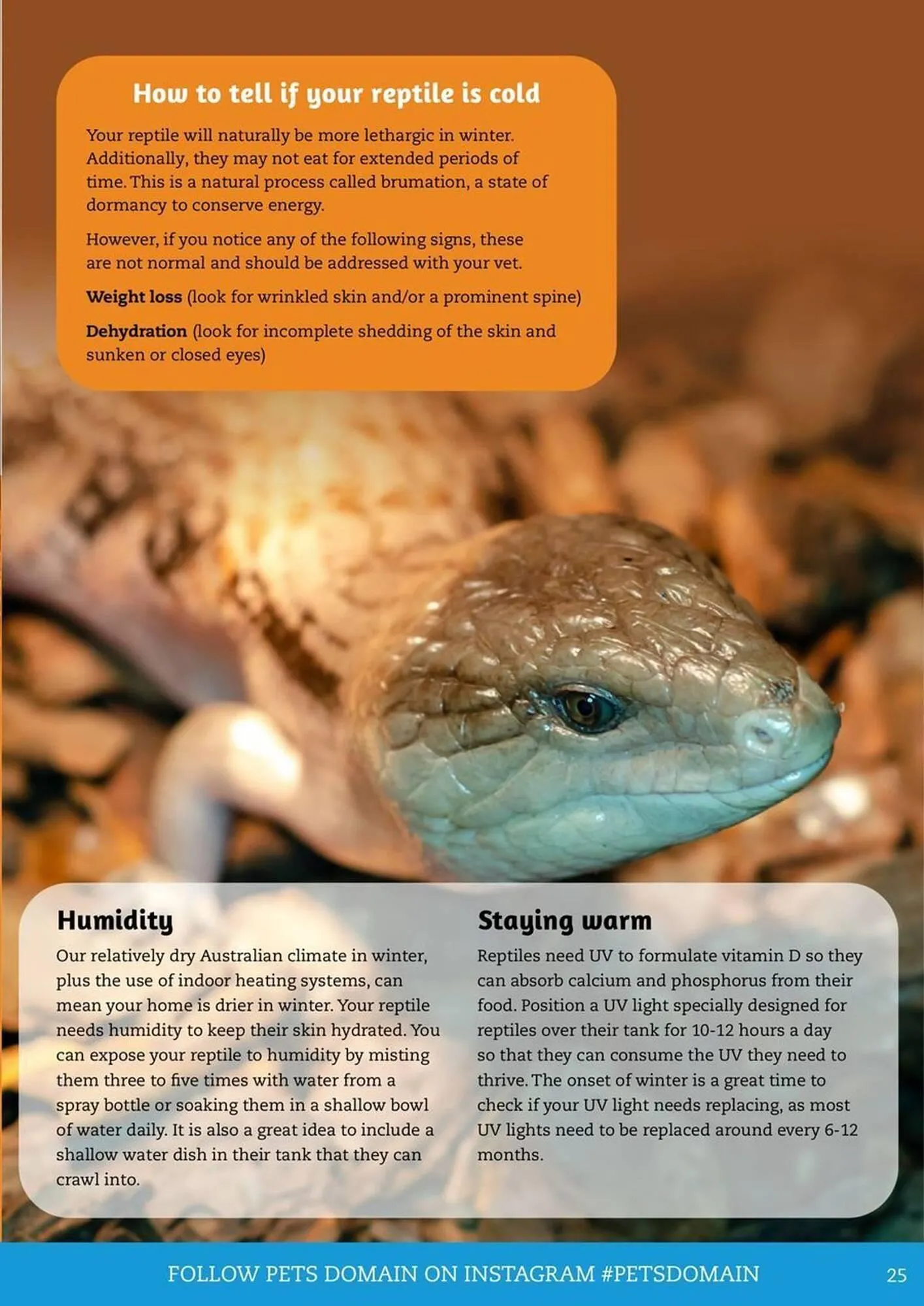 Pets Domain catalogue - Catalogue valid from 1 July to 30 September 2025 - page 25