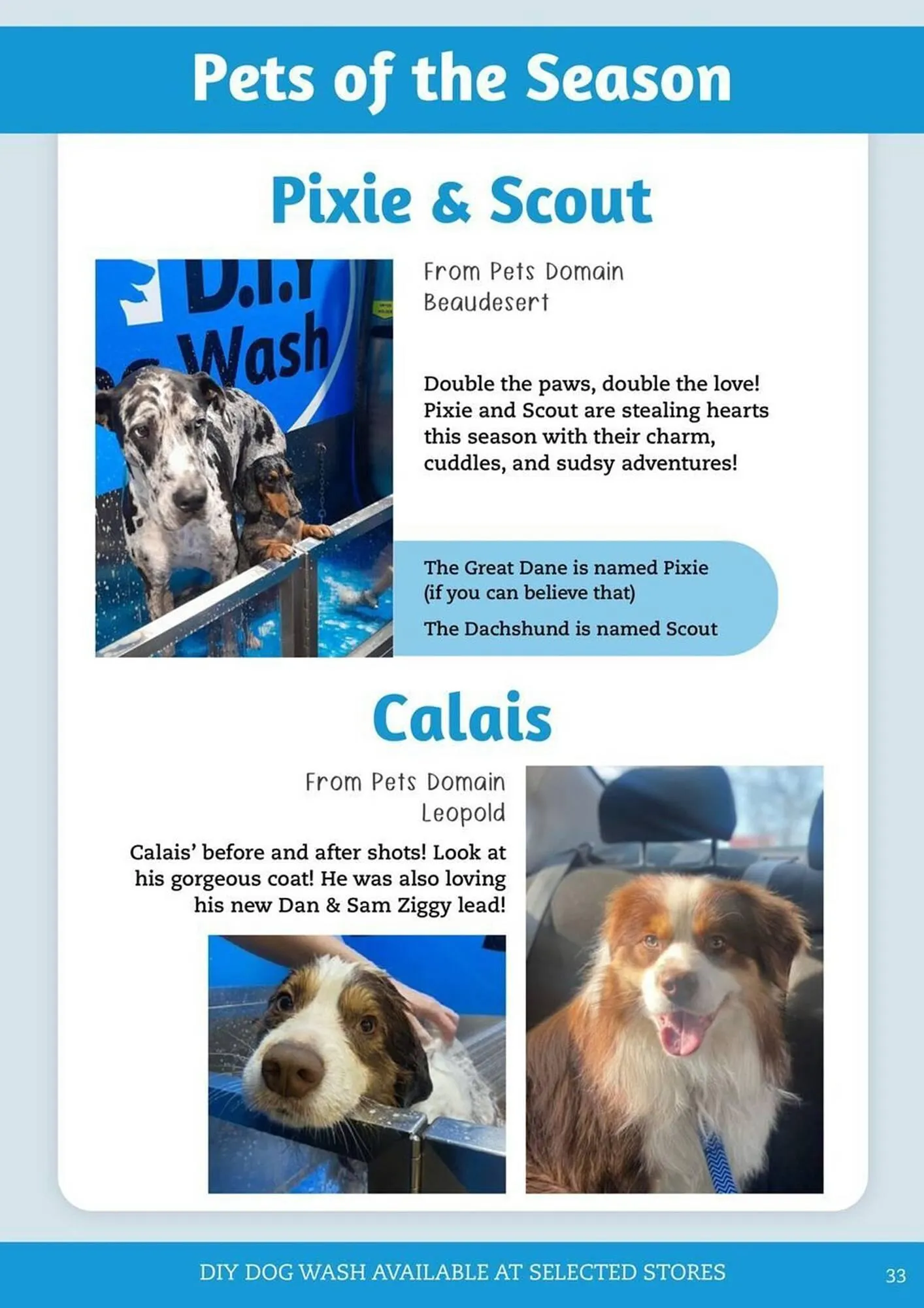 Pets Domain catalogue - Catalogue valid from 1 April to 30 June 2025 - page 33