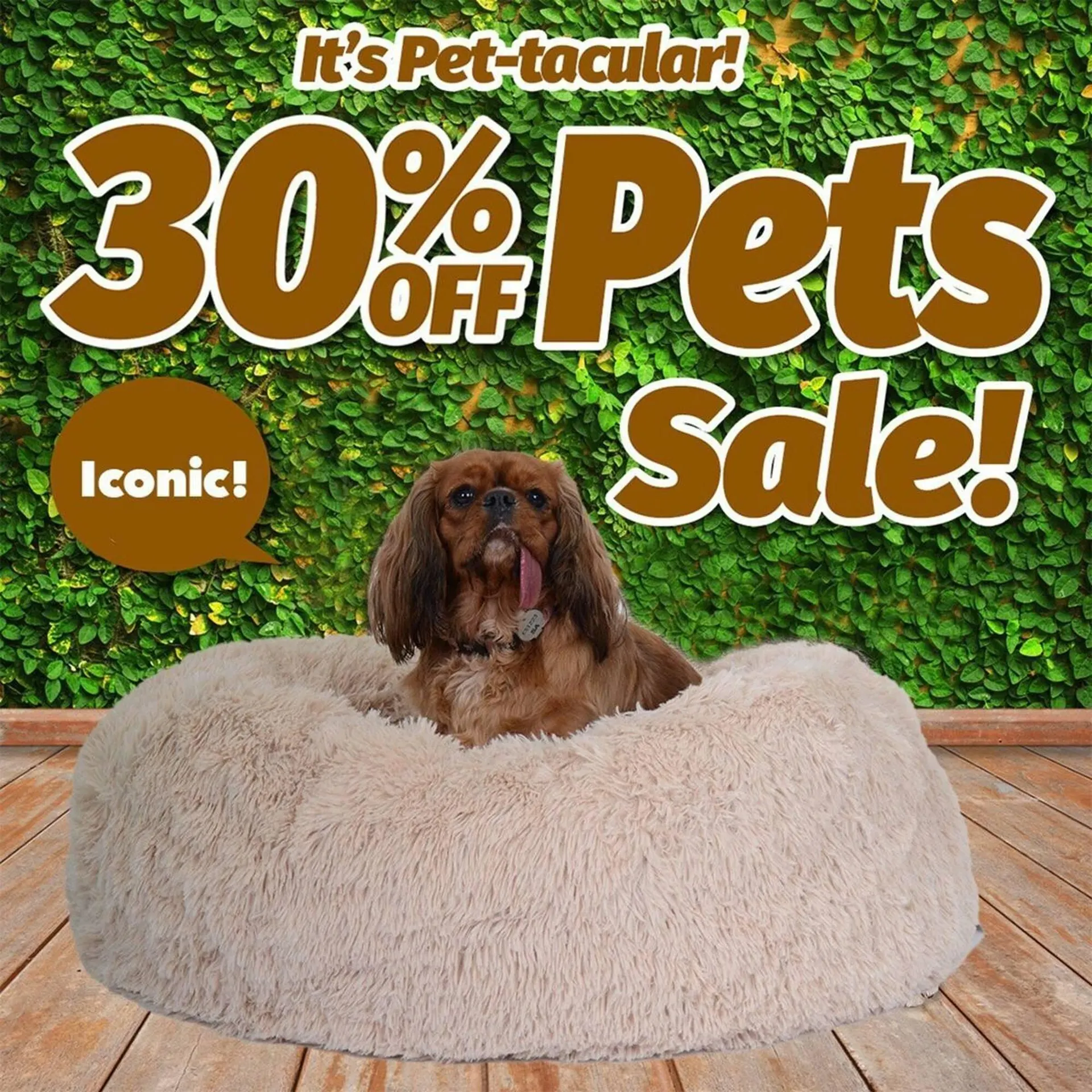 Cheap as Chips catalogue - Catalogue valid from 2 March to 9 March 2026 - page 2