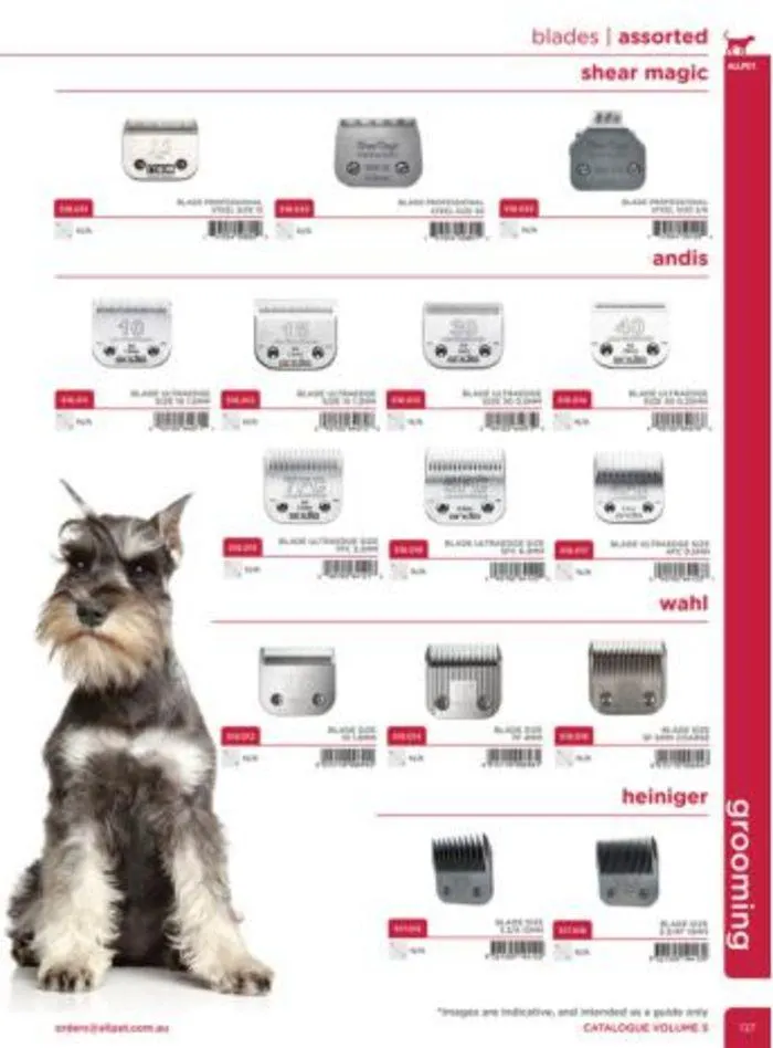Dog Catalogue 2024 - Catalogue valid from 4 January to 31 December 2024 - page 135