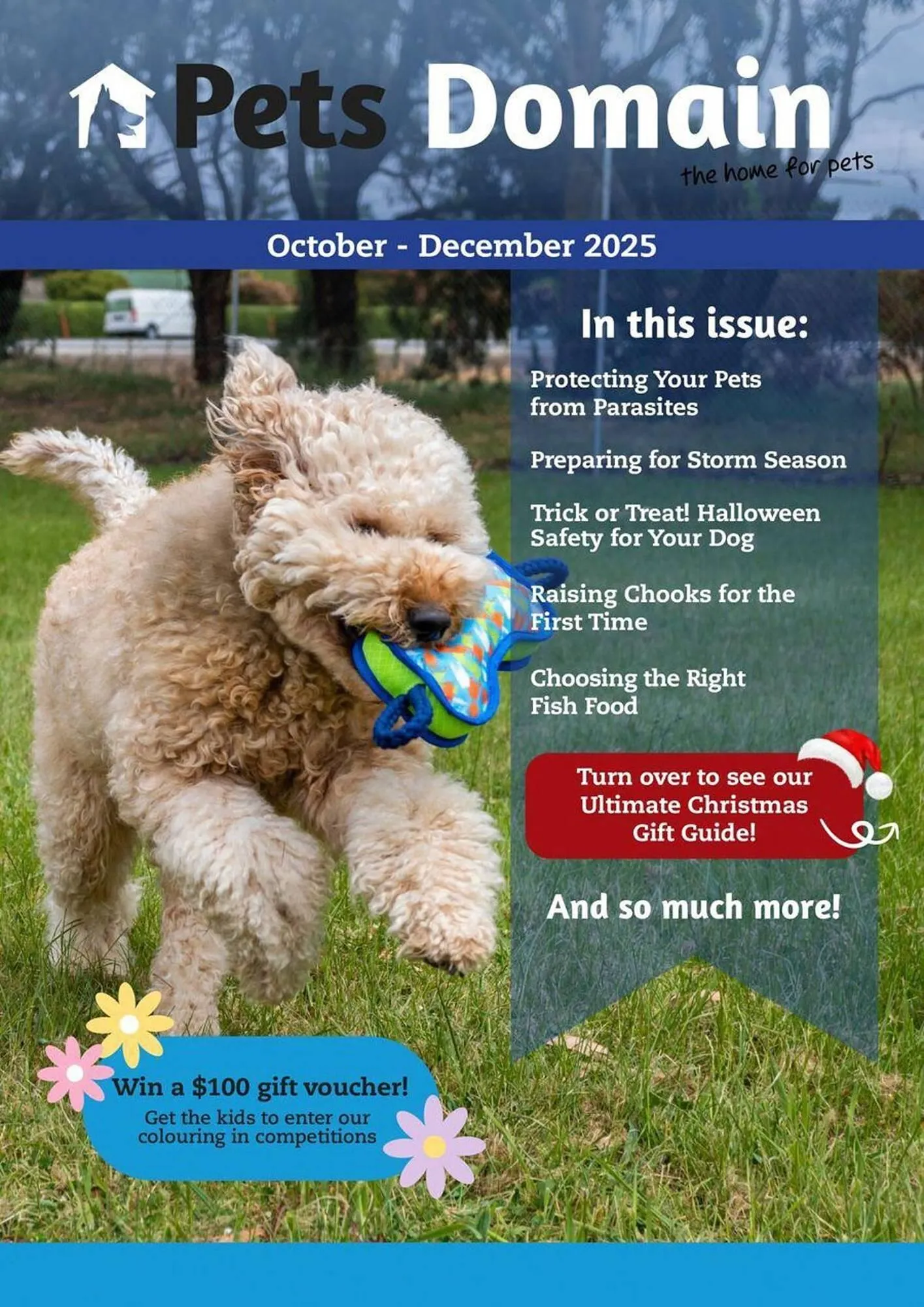 Pets Domain catalogue - Catalogue valid from 2 October to 31 December 2025 - page 1