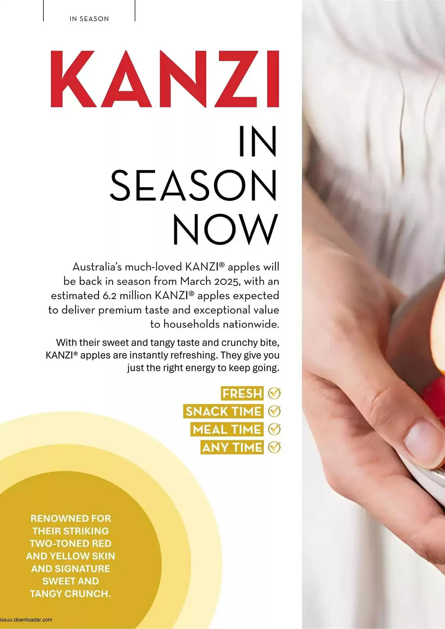 Ritchies catalogue - Catalogue valid from 10 March to 30 April 2025 - page 10