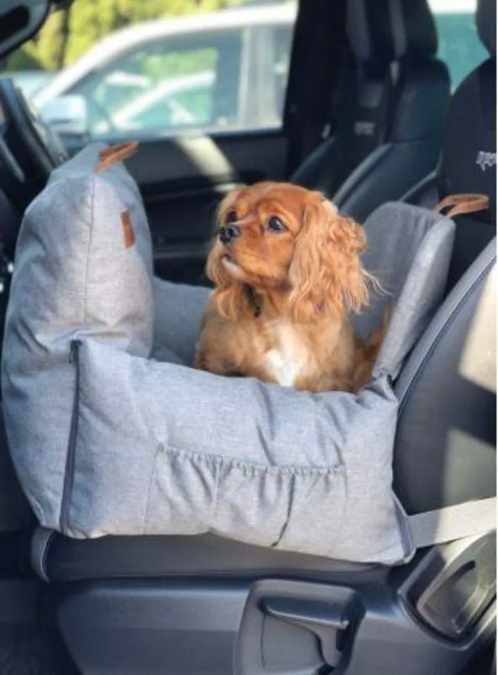 Dog Catalogue 2024 - Catalogue valid from 4 January to 31 December 2024 - page 16