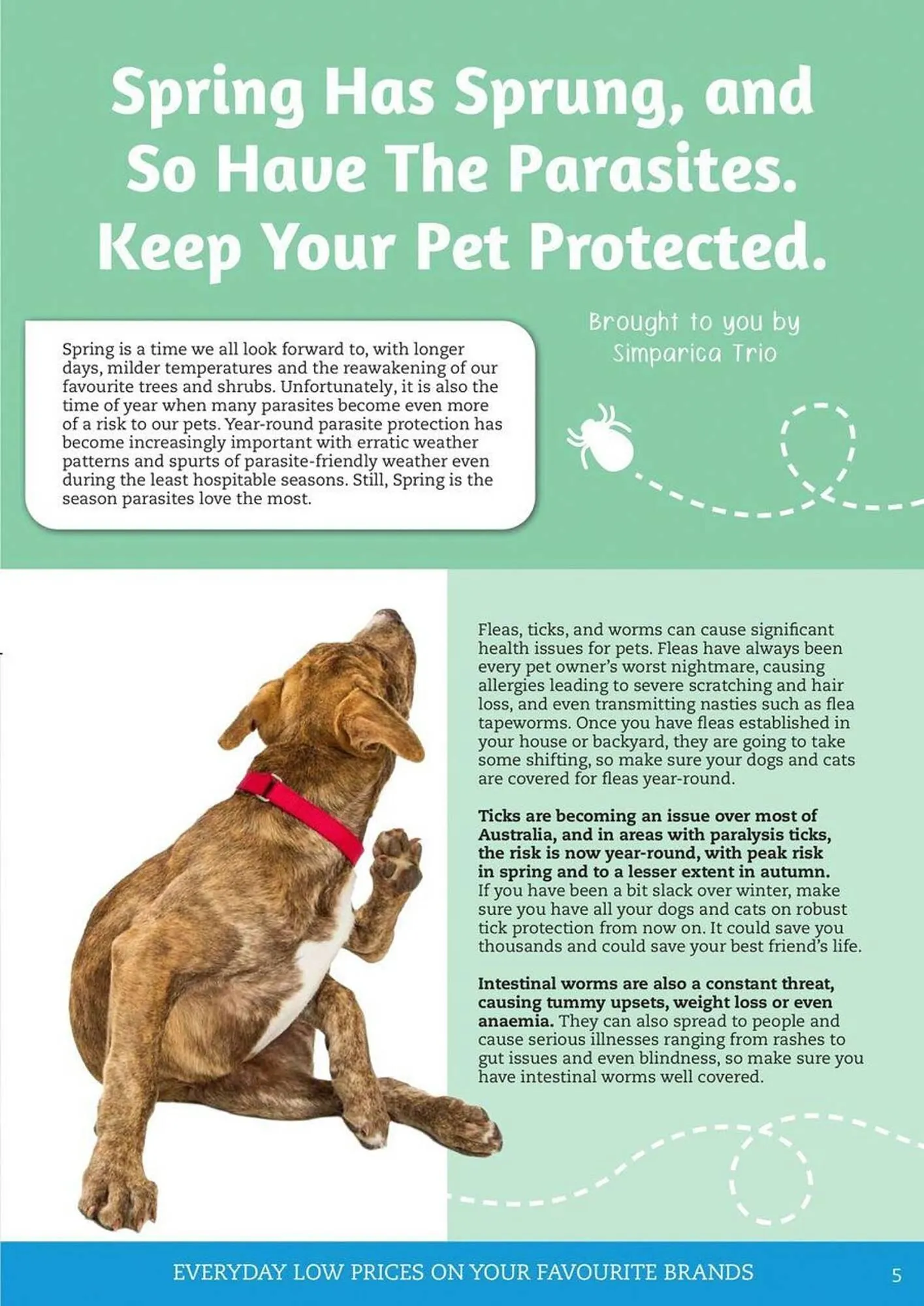 Pets Domain catalogue - Catalogue valid from 2 October to 31 December 2025 - page 5