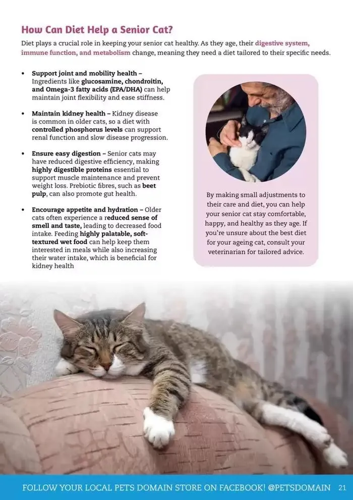 April - June 2025 - Catalogue valid from 1 April to 30 June 2025 - page 13