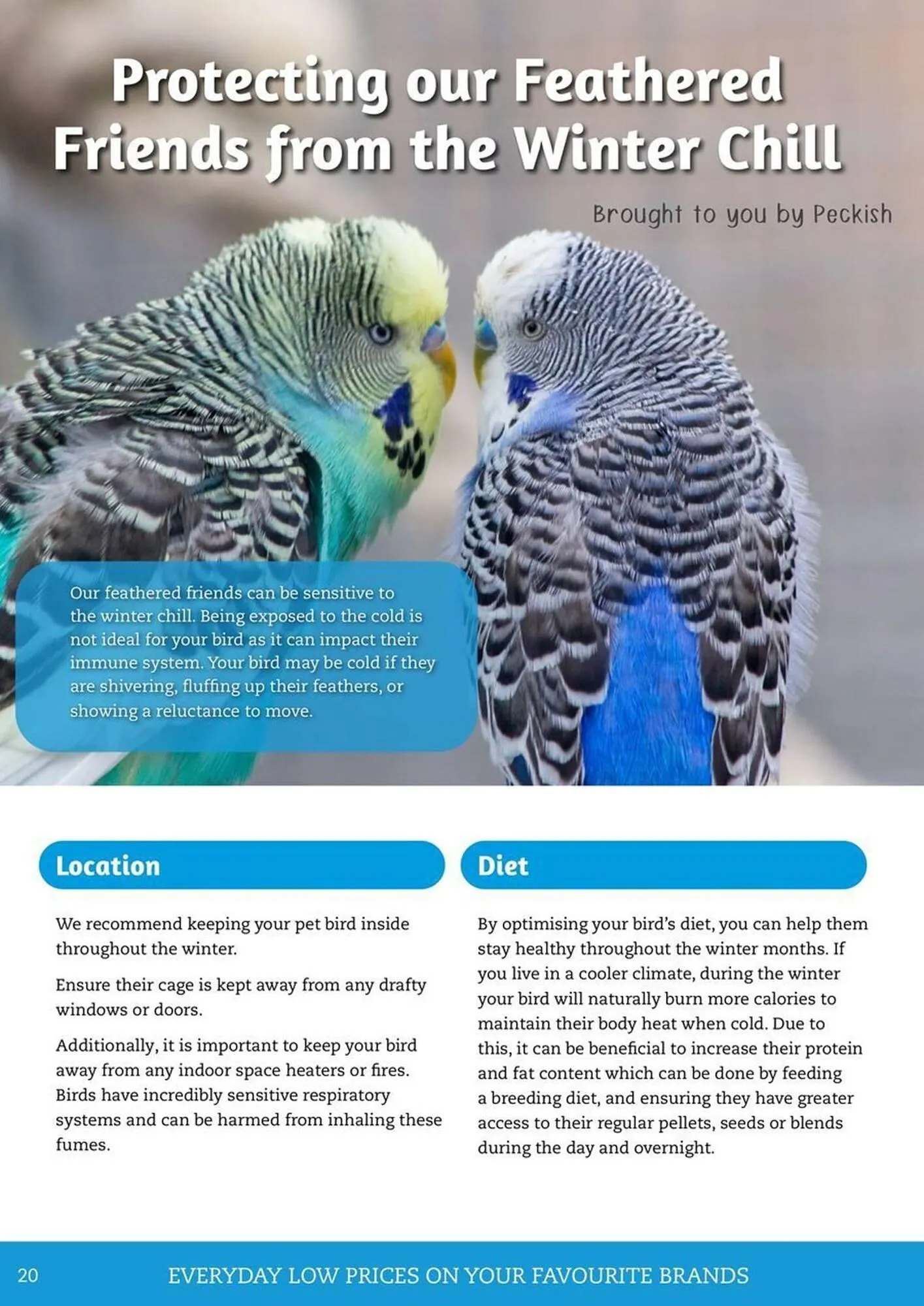 Pets Domain catalogue - Catalogue valid from 1 July to 30 September 2025 - page 20