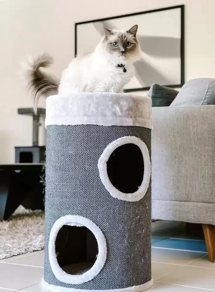 Cat Catalogue 2025 - Catalogue valid from 3 March to 31 December 2025 - page 22