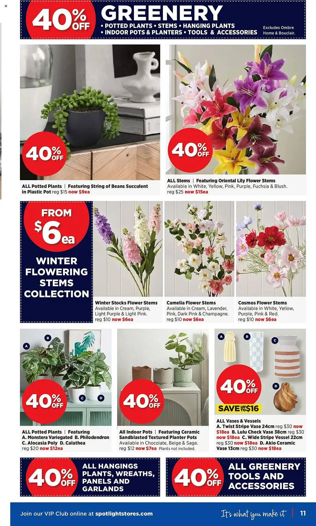 Spotlight catalogue - Catalogue valid from 4 June to 22 June 2025 - page 11