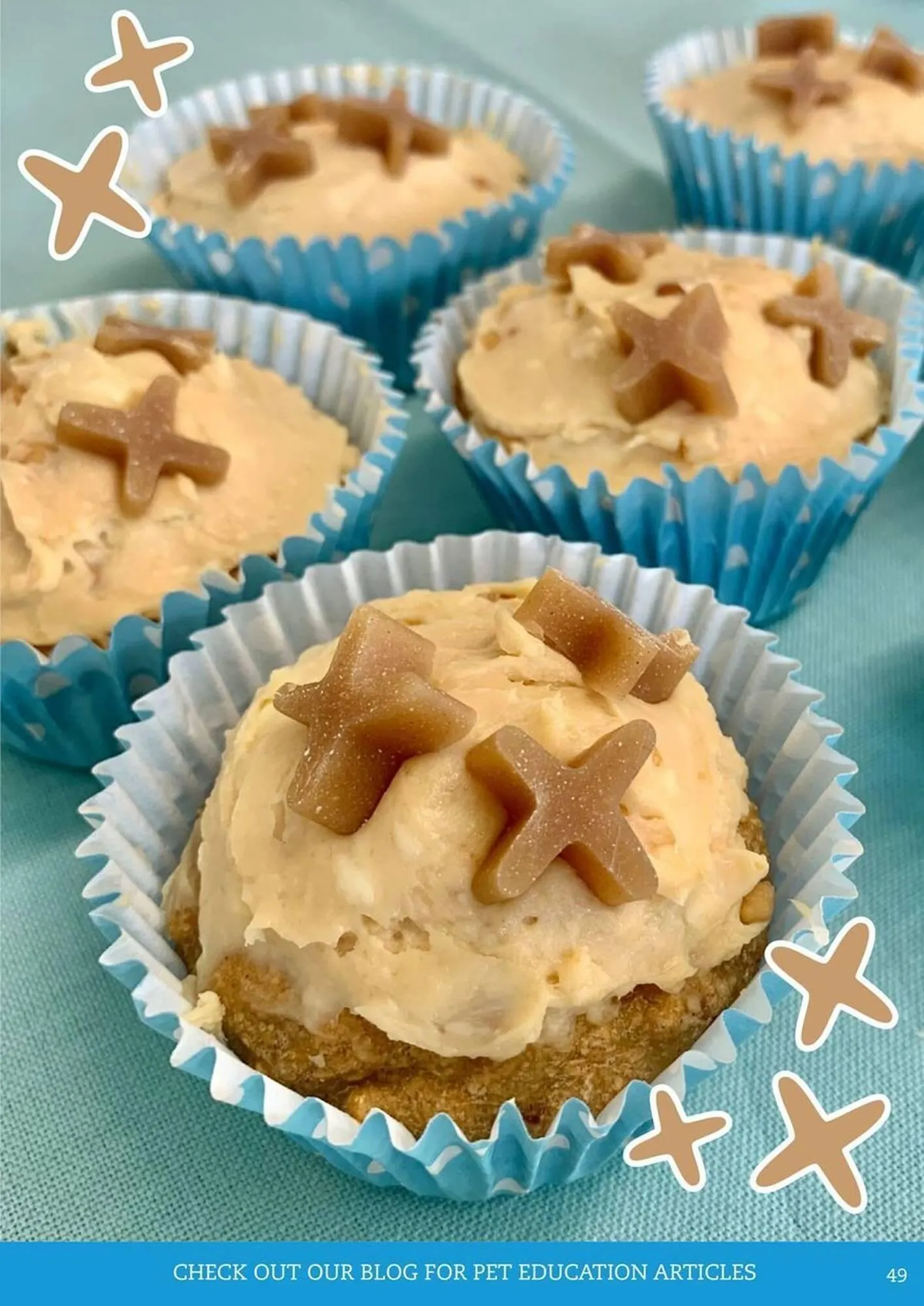 Pets Domain catalogue - Catalogue valid from 1 July to 30 September 2025 - page 49