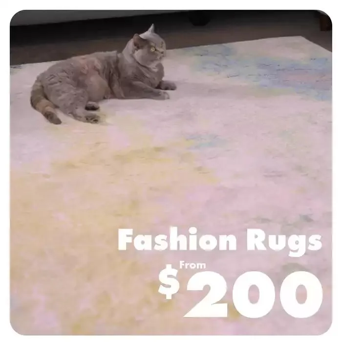 Expert in the Trade Reviews - Catalogue valid from 6 January to 31 January 2025 - page 9