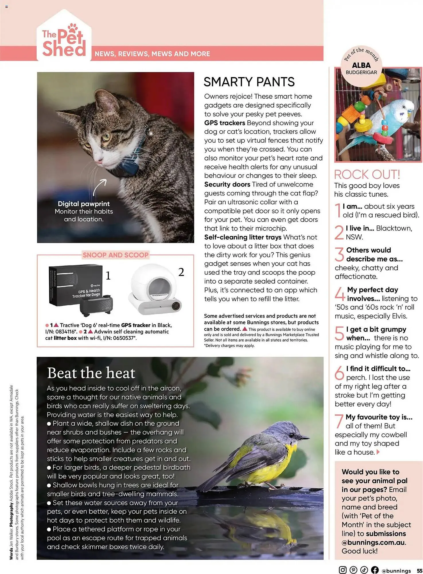 Bunnings catalogue - Catalogue valid from 31 January to 28 February 2026 - page 55