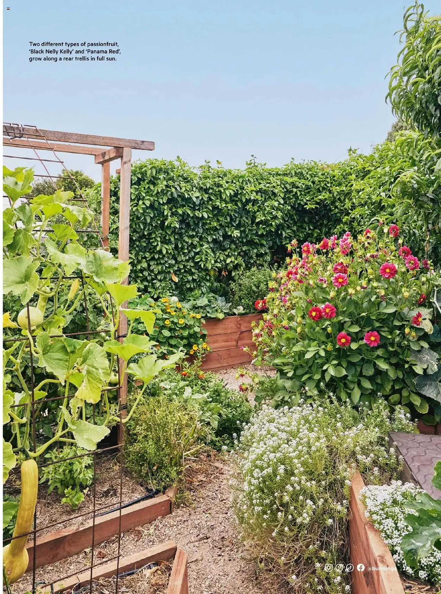 Bunnings catalogue - Catalogue valid from 30 September to 31 October 2025 - page 27