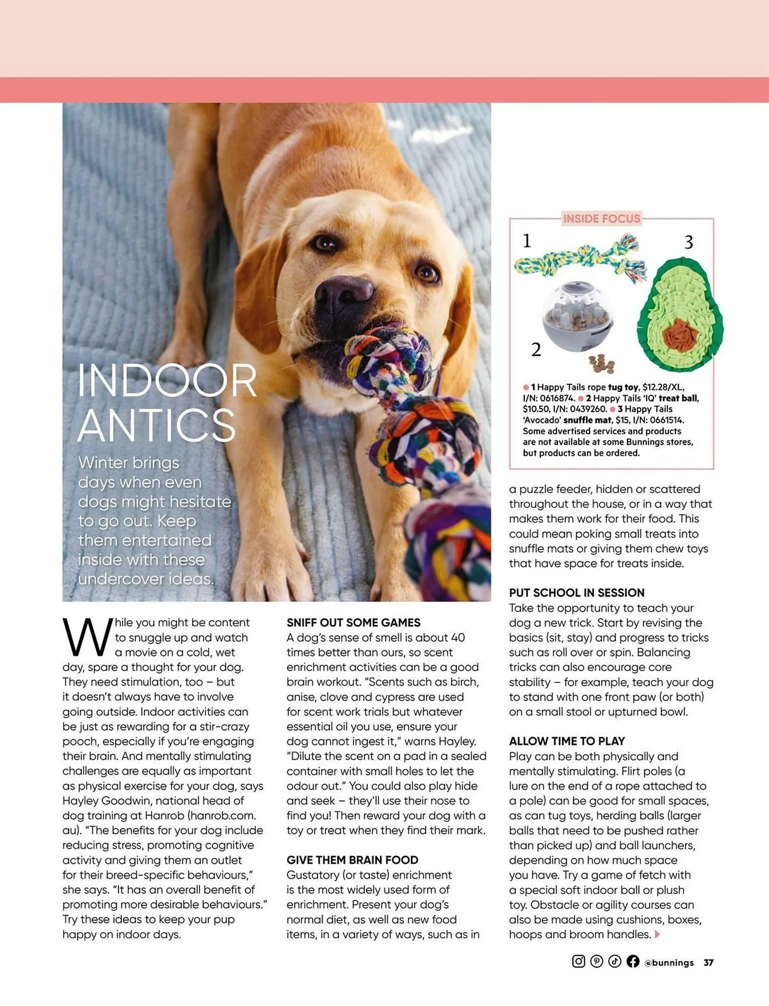 Bunnings catalogue - Catalogue valid from 1 July to 31 July 2025 - page 37