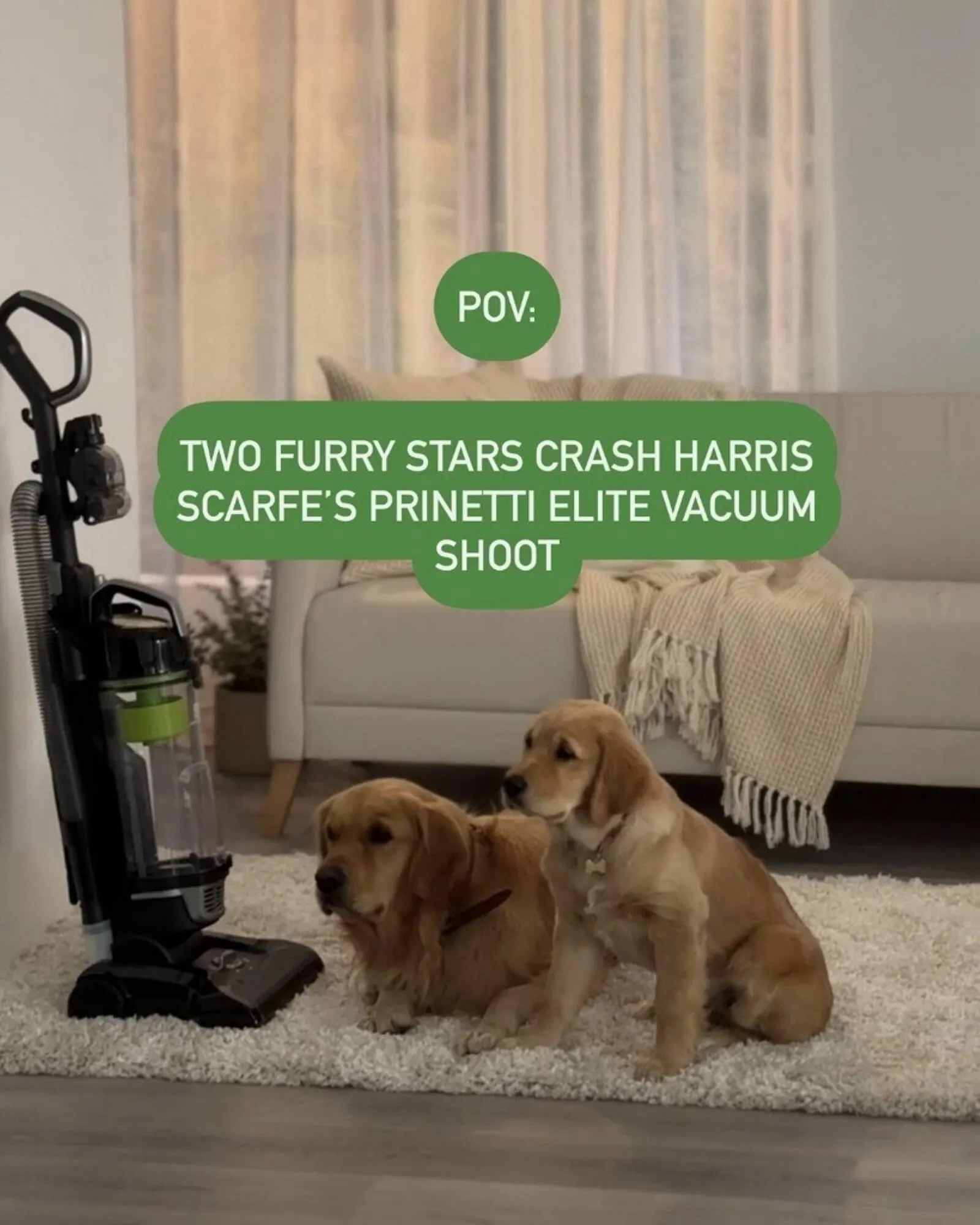 Harris Scarfe catalogue - Catalogue valid from 10 June to 16 June 2025 - page 1