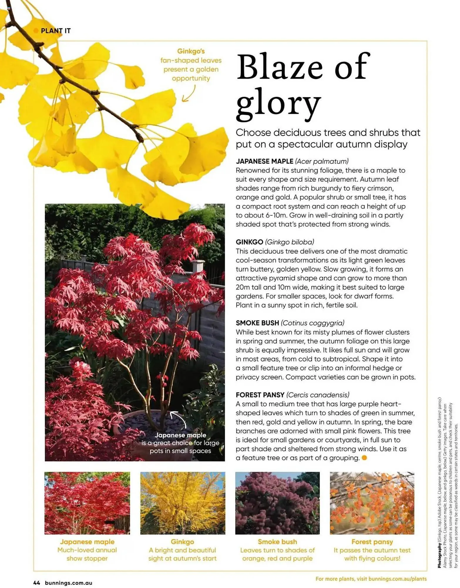 Bunnings catalogue - Catalogue valid from 1 March to 31 March 2025 - page 44