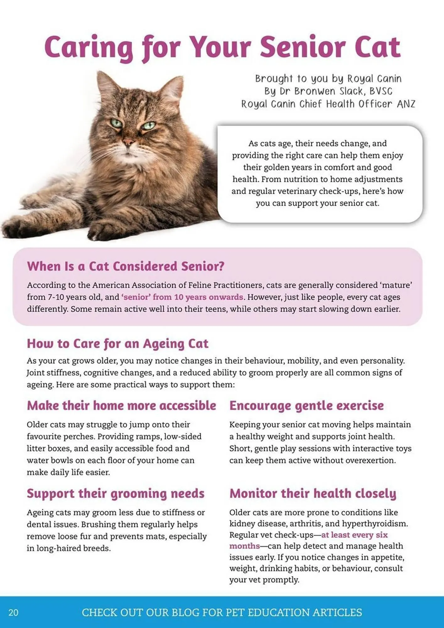 Pets Domain catalogue - Catalogue valid from 1 April to 30 June 2025 - page 20