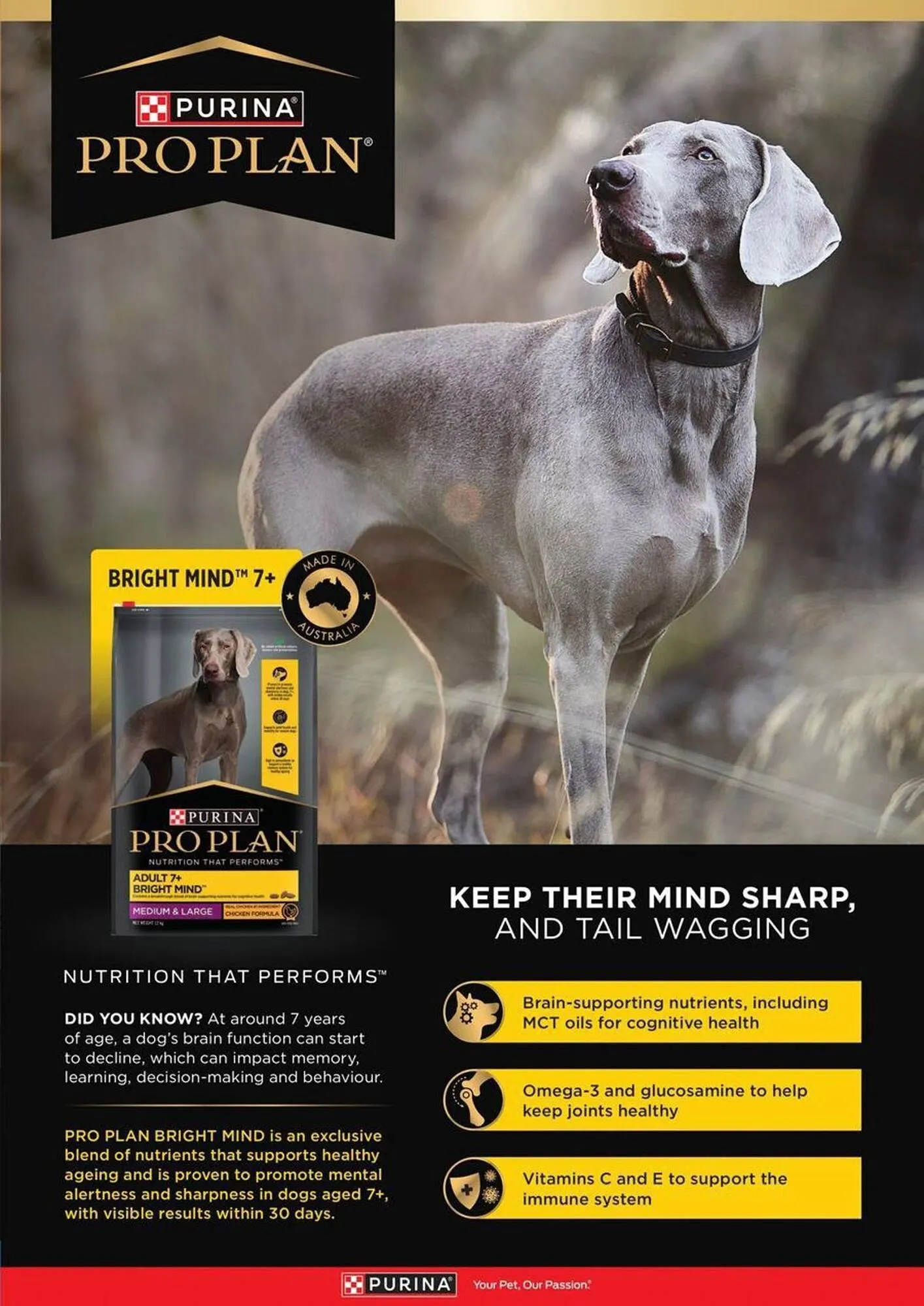 Pets Domain catalogue - Catalogue valid from 2 October to 31 December 2025 - page 45