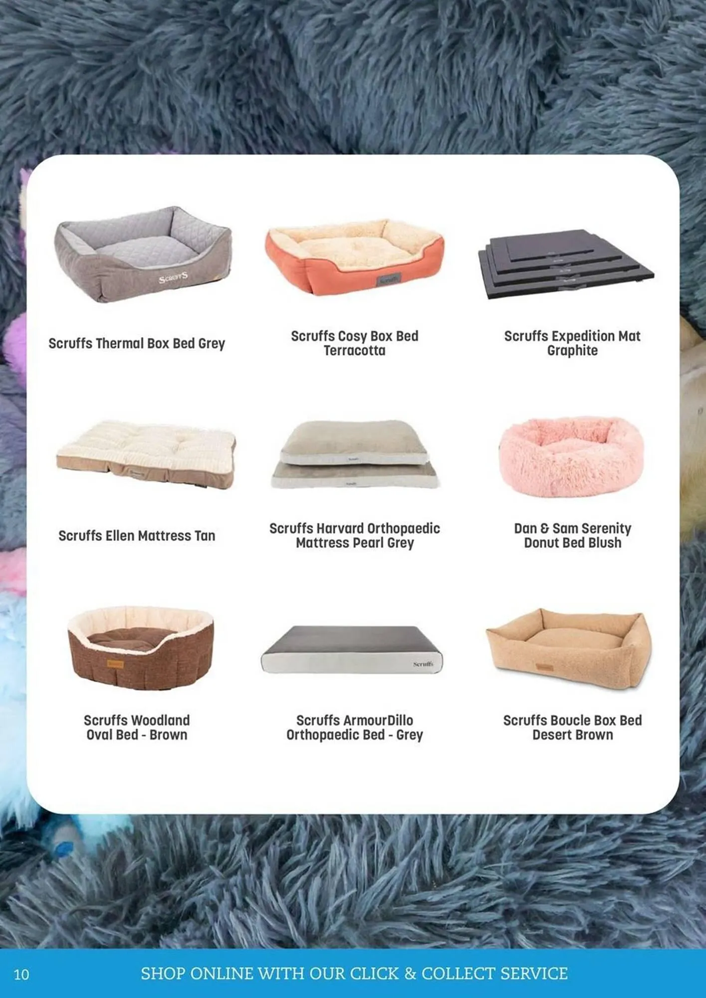 Pets Domain catalogue - Catalogue valid from 1 July to 30 September 2025 - page 10