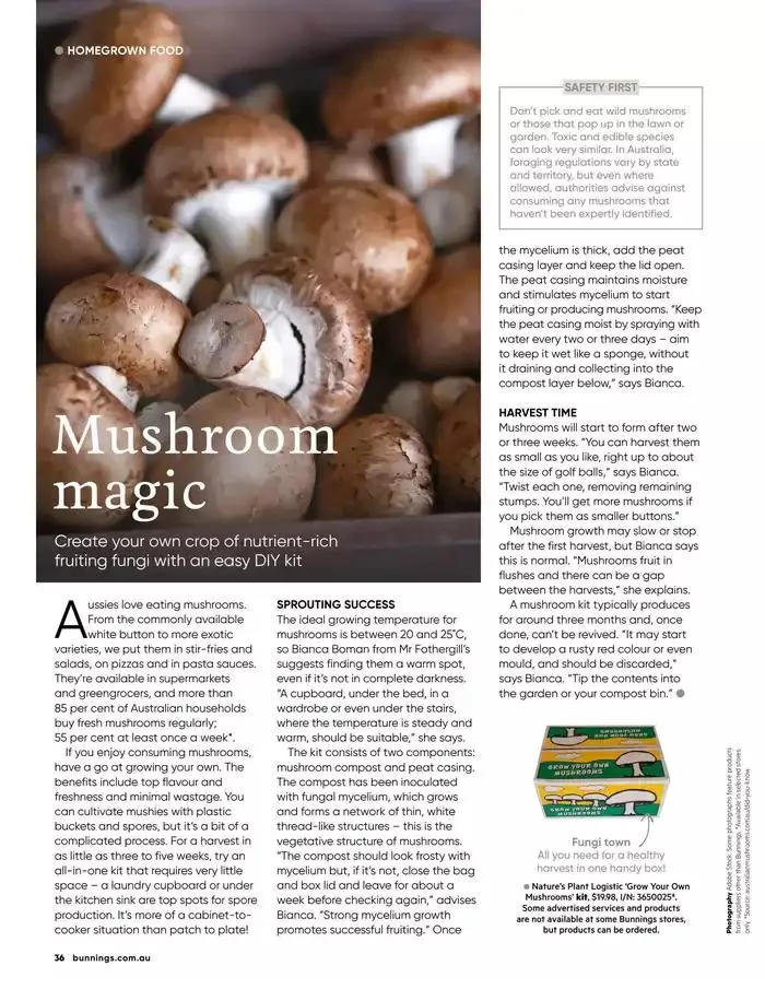  October 2024 - Catalogue valid from 1 October to 31 October 2024 - page 29