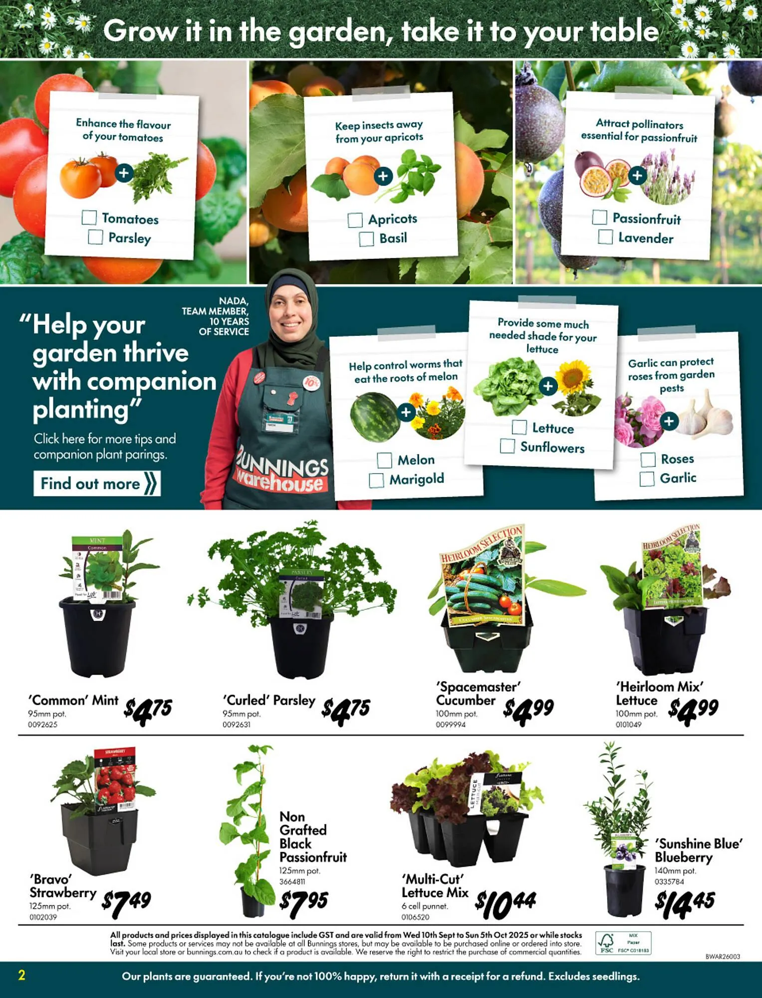 Bunnings catalogue - Catalogue valid from 10 September to 5 October 2025 - page 2