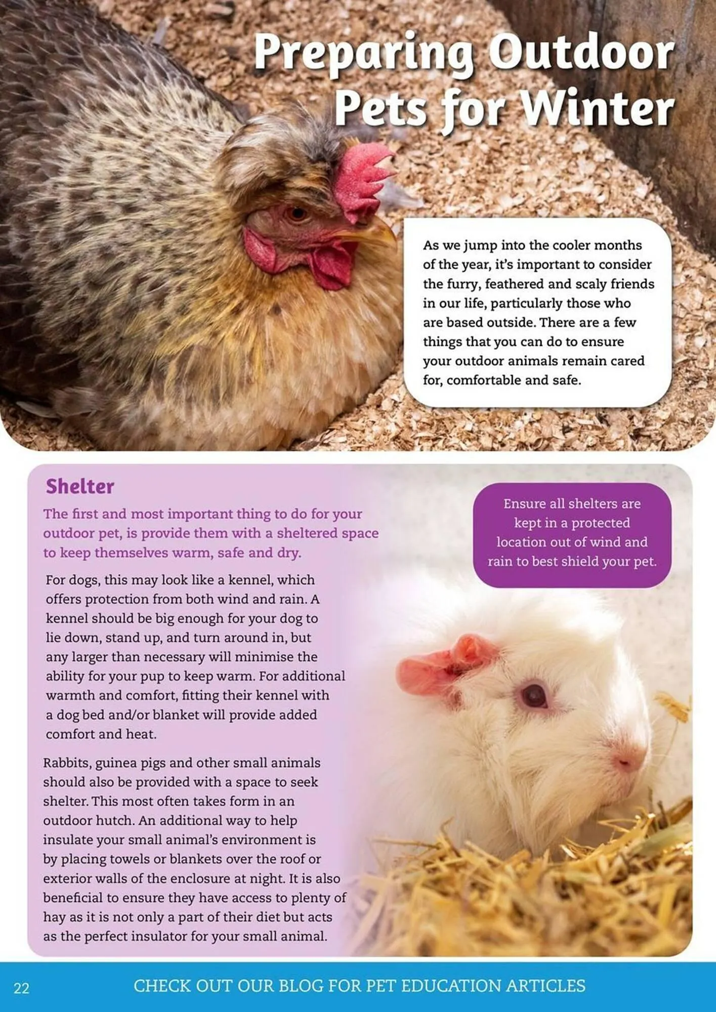 Pets Domain catalogue - Catalogue valid from 1 July to 30 September 2025 - page 22