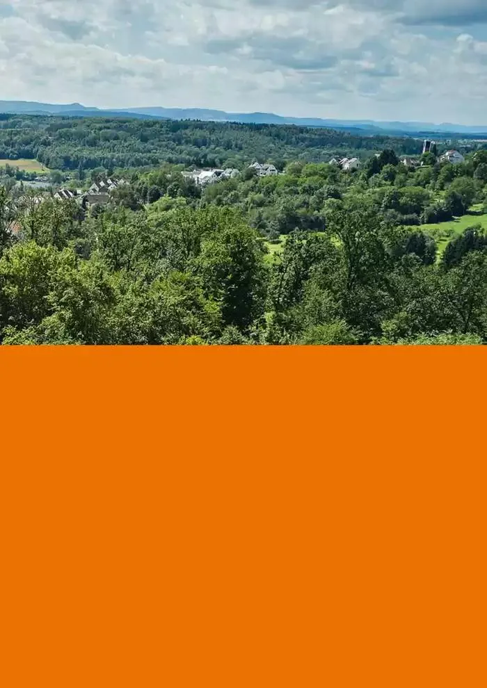 Catalogue 2024 - Catalogue valid from 26 June to 5 January 2025 - page 15