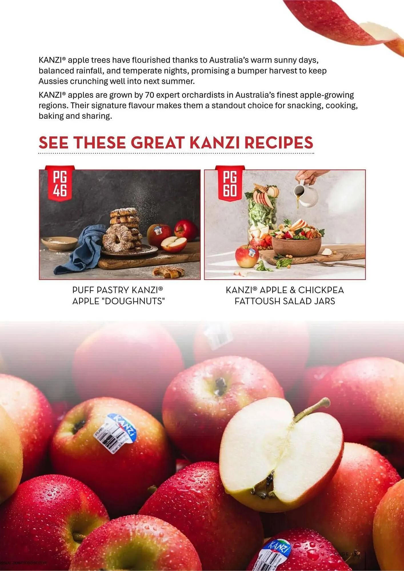 IGA catalogue - Catalogue valid from 10 March to 30 April 2025 - page 13