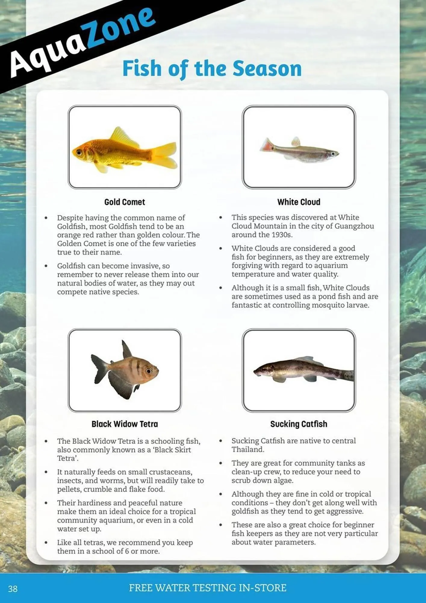 Pets Domain catalogue - Catalogue valid from 1 July to 30 September 2025 - page 38