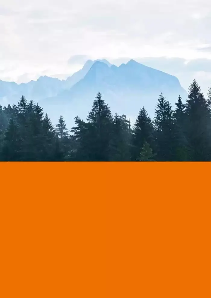 Catalogue 2024 - Catalogue valid from 26 June to 5 January 2025 - page 323