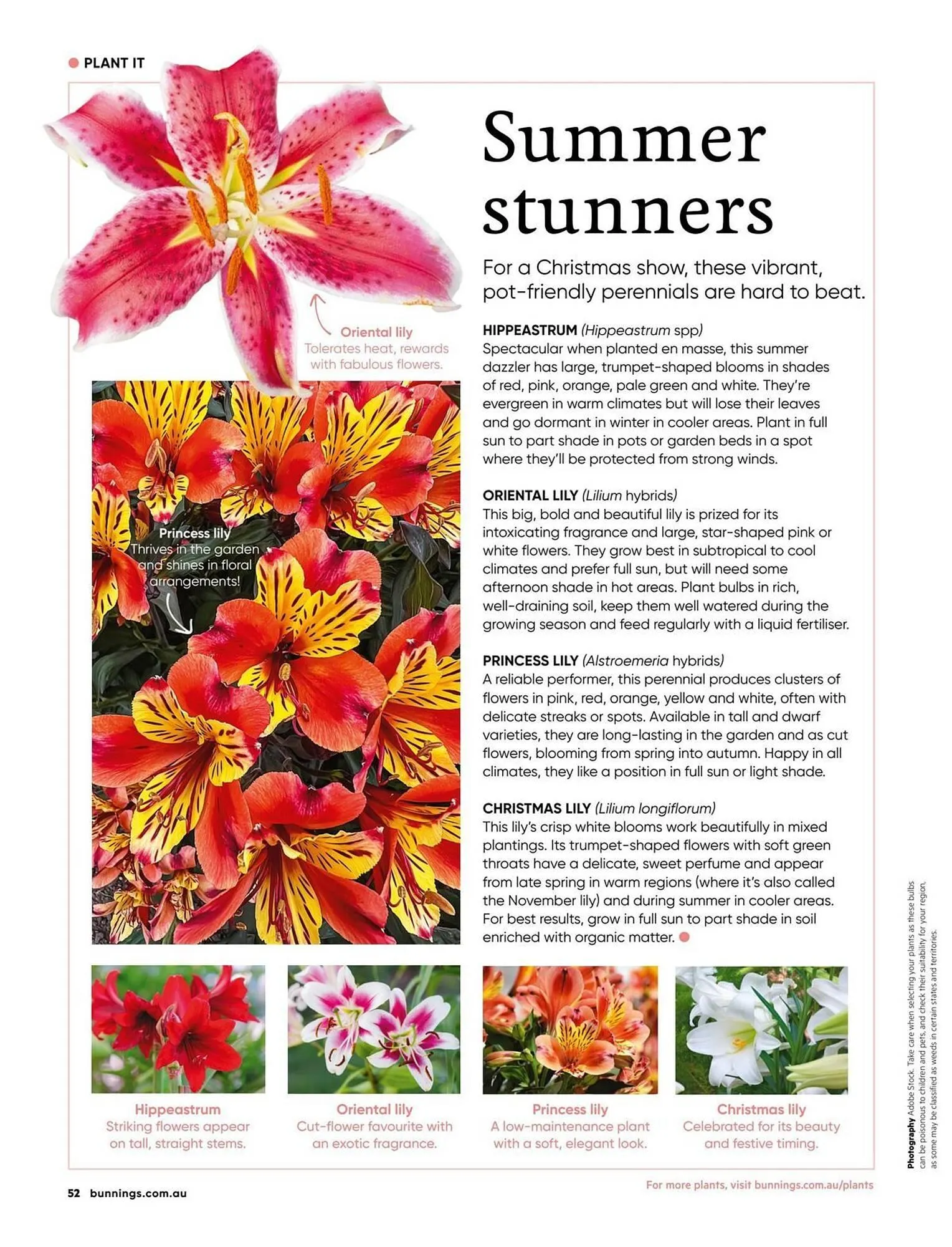 Bunnings catalogue - Catalogue valid from 1 December to 31 December 2025 - page 52