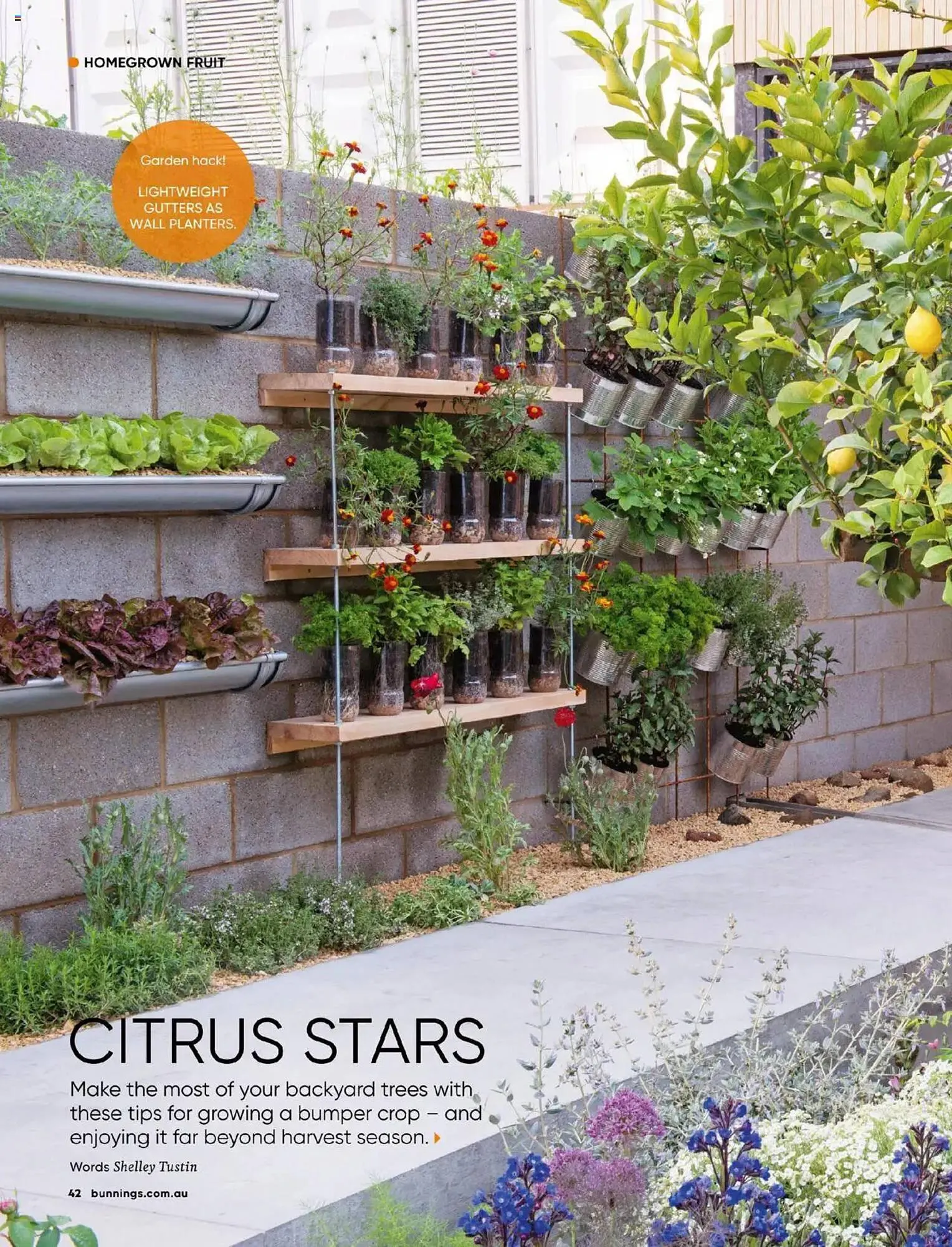 Bunnings catalogue - Catalogue valid from 1 May to 30 June 2025 - page 42