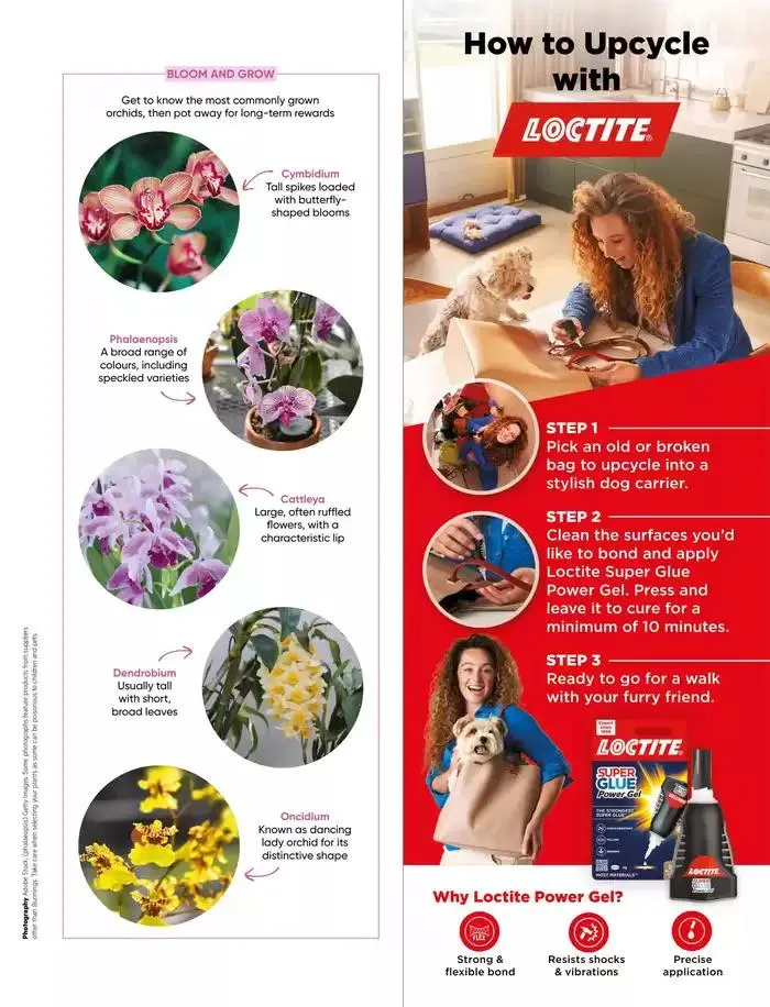 Bunnings Magazine March 2025 - Catalogue valid from 1 March to 31 March 2025 - page 43