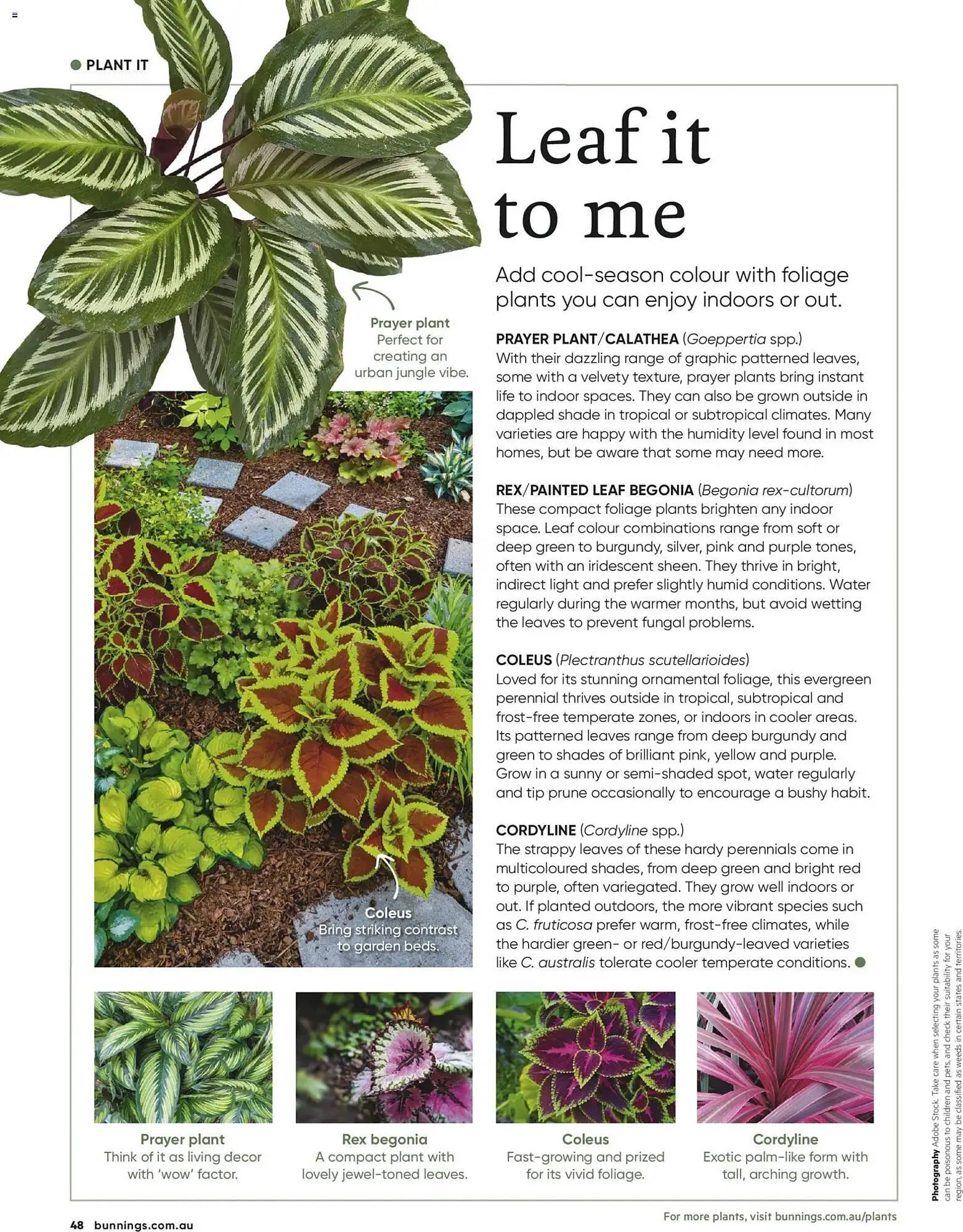Bunnings catalogue - Catalogue valid from 30 April to 30 June 2026 - page 48