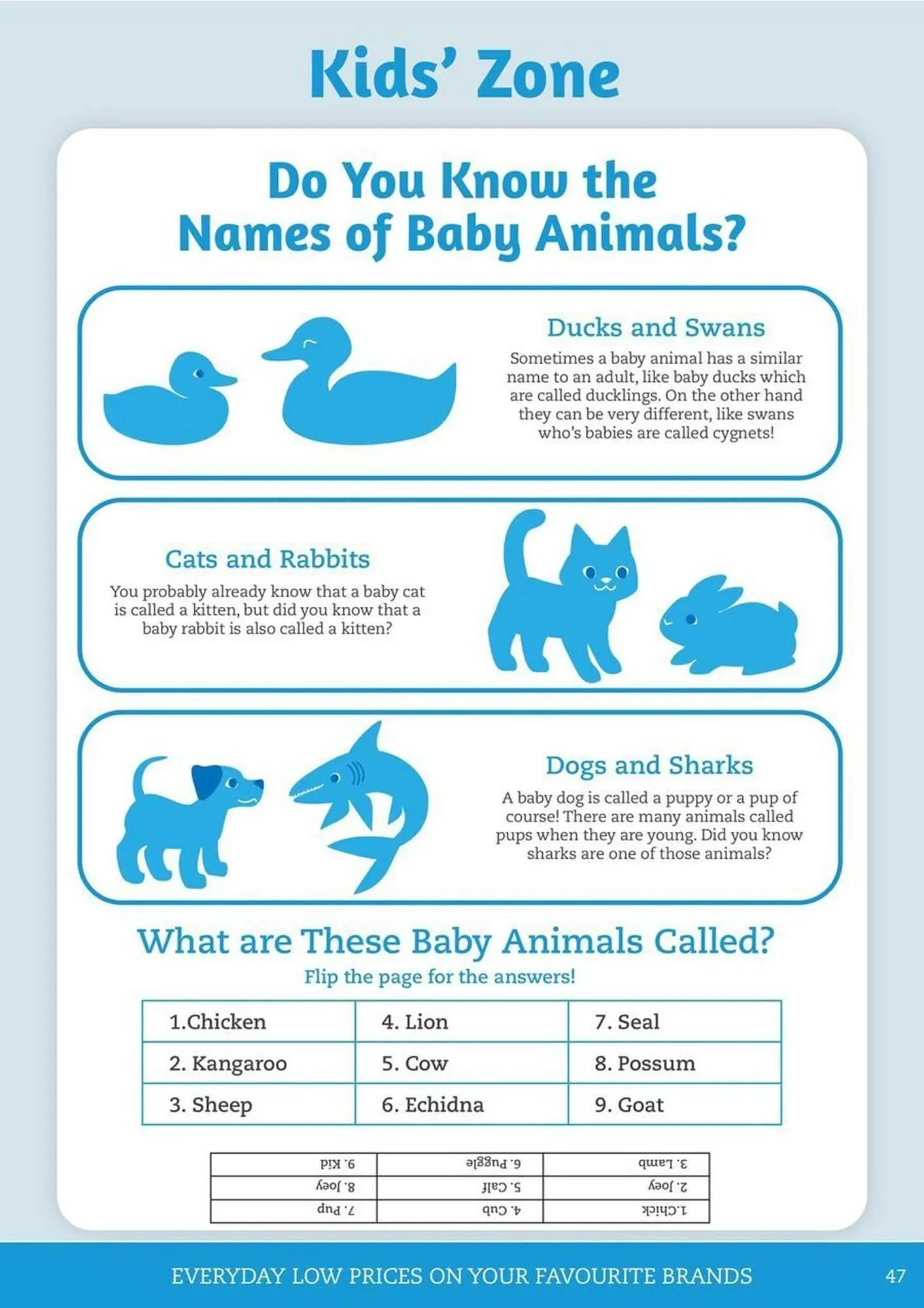 Pets Domain catalogue - Catalogue valid from 1 January to 31 March 2026 - page 47