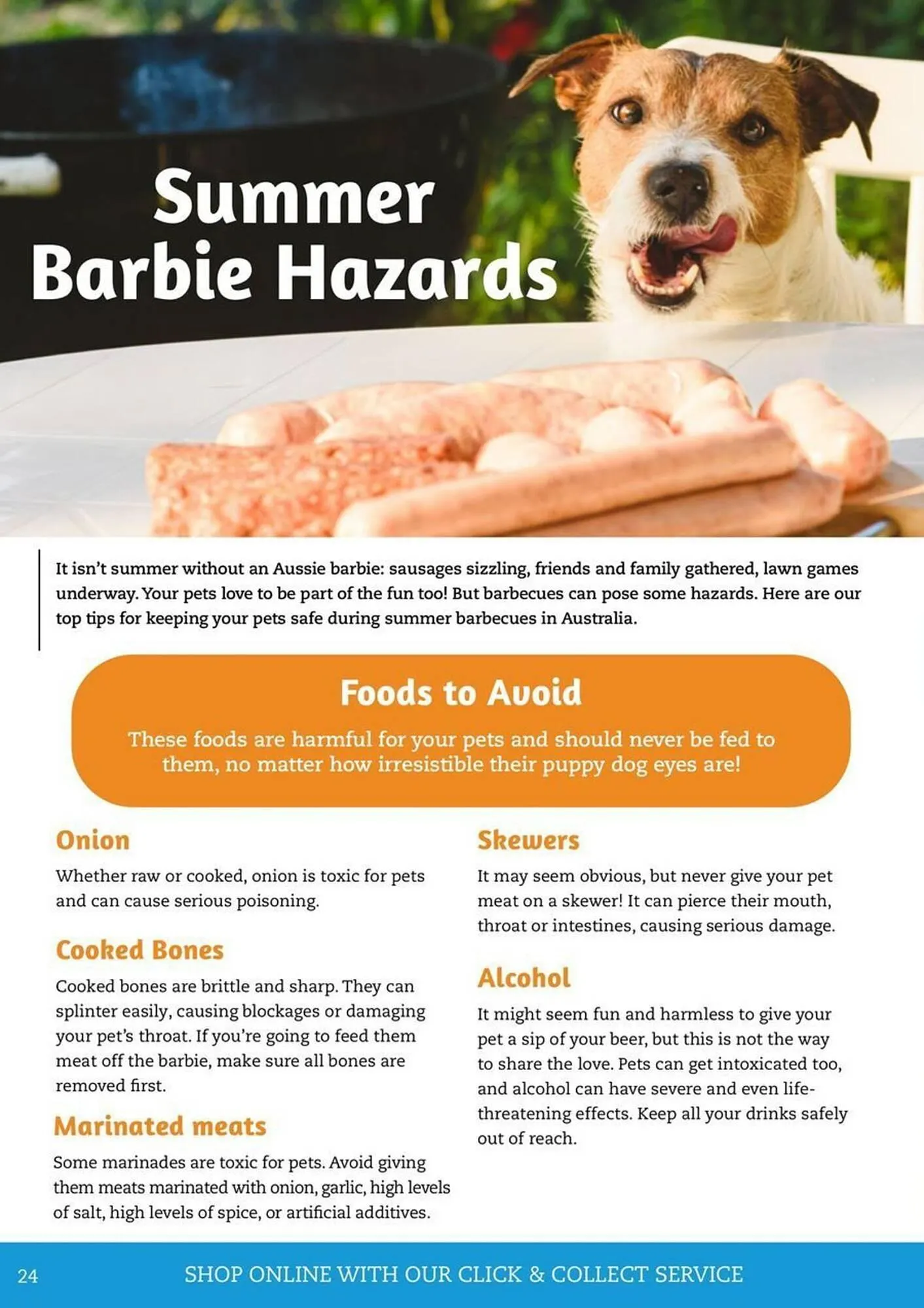 Pets Domain catalogue - Catalogue valid from 1 January to 31 March 2026 - page 24