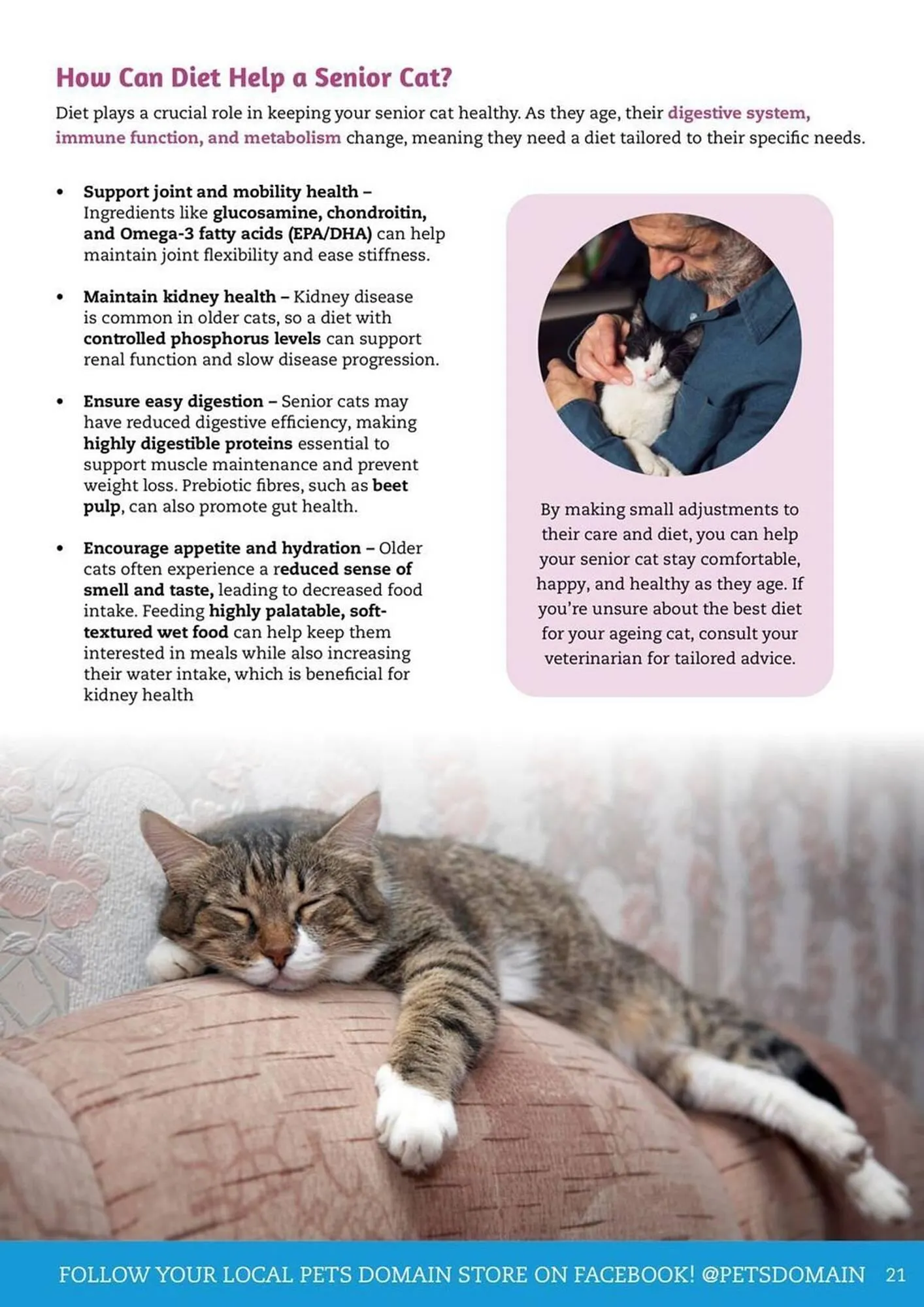 Pets Domain catalogue - Catalogue valid from 1 April to 30 June 2025 - page 21