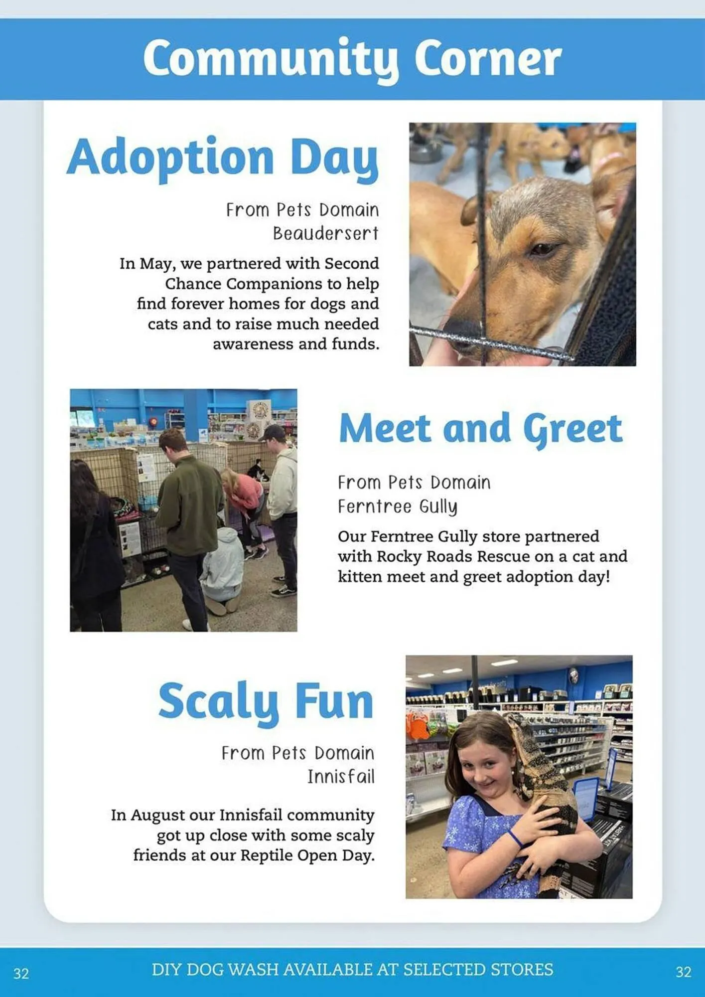 Pets Domain catalogue - Catalogue valid from 2 October to 31 December 2025 - page 32