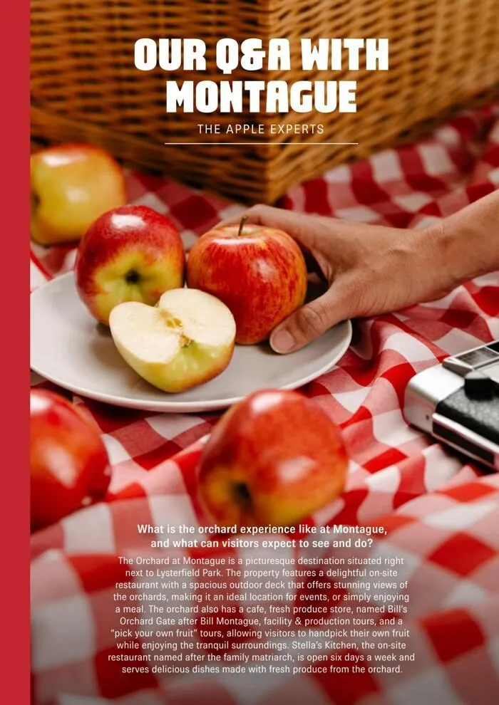 Issue Eleven - Catalogue valid from 24 April to 31 March 2025 - page 14