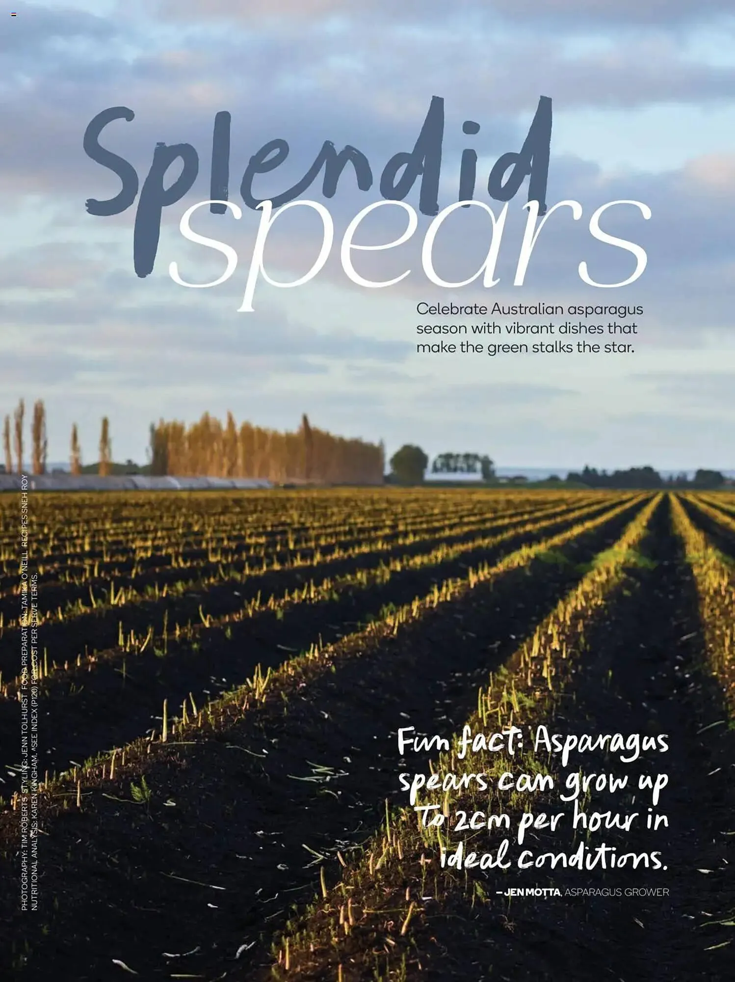 Woolworths catalogue - Catalogue valid from 30 September to 31 October 2025 - page 79