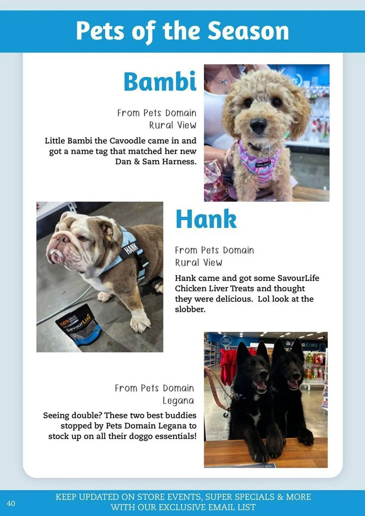 Pets Domain catalogue - Catalogue valid from 1 January to 31 March 2026 - page 40