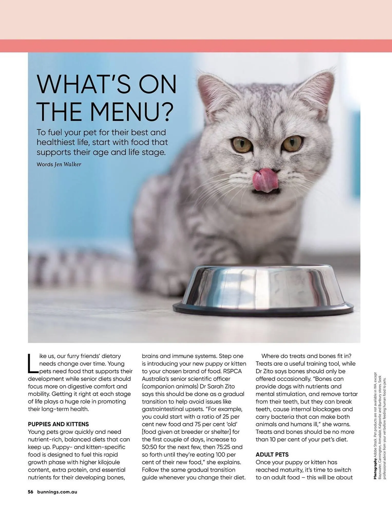 Bunnings catalogue - Catalogue valid from 1 April to 30 April 2026 - page 56