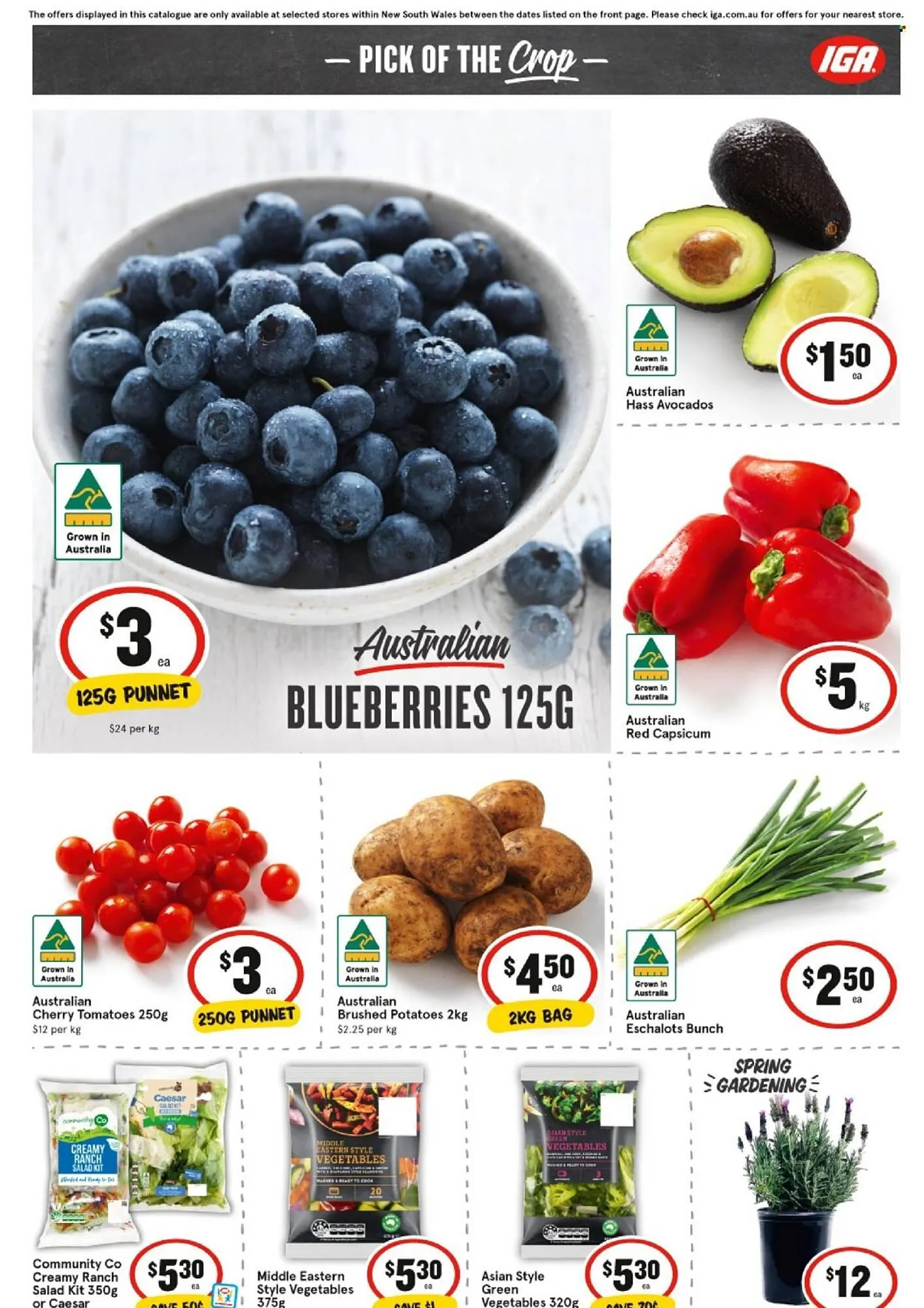 IGA catalogue - Catalogue valid from 3 September to 9 September 2025 - page 6