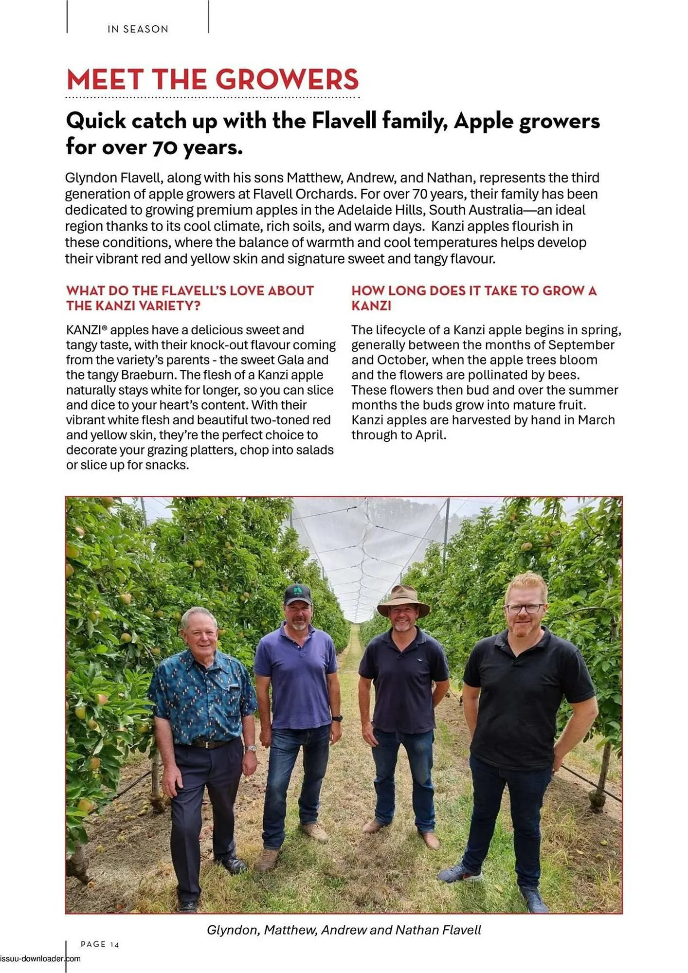 IGA catalogue - Catalogue valid from 10 March to 30 April 2025 - page 14