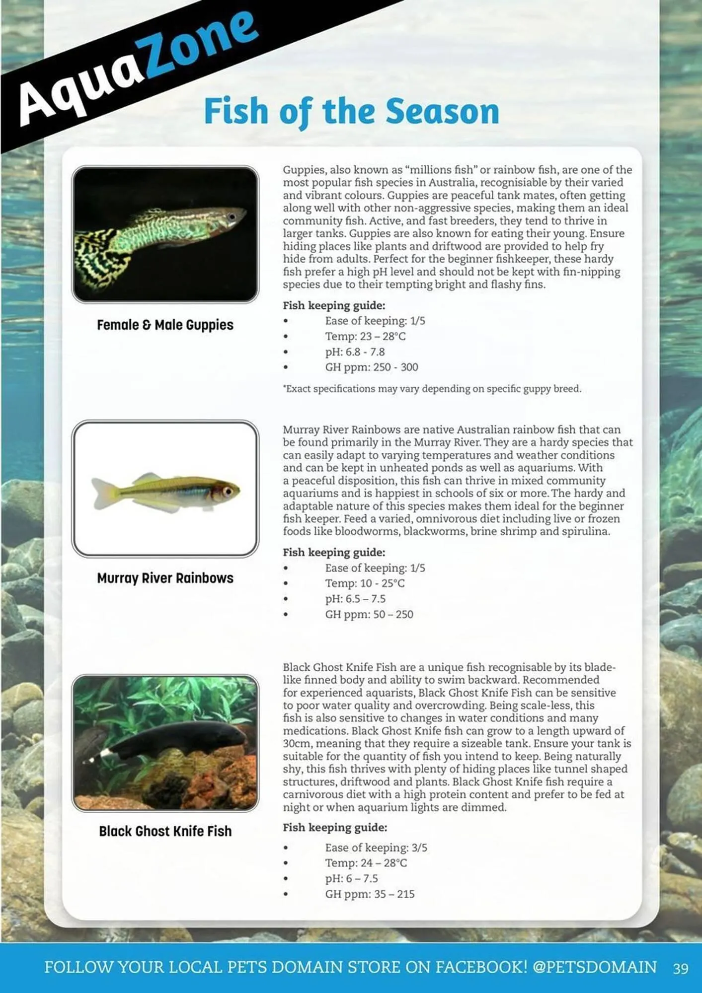 Pets Domain catalogue - Catalogue valid from 1 January to 31 March 2026 - page 39