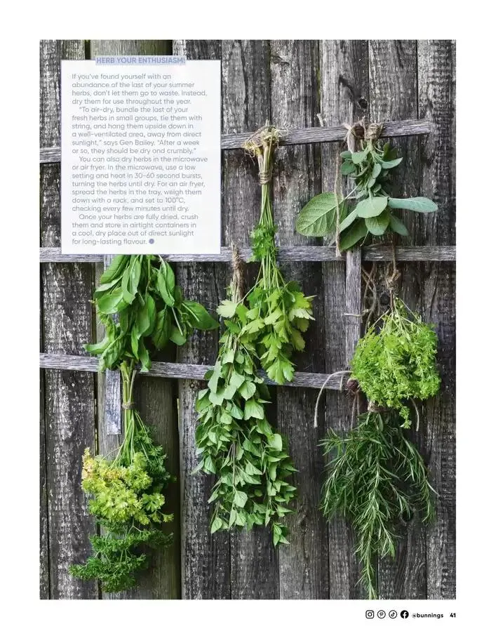 Magazine February 2025 - Catalogue valid from 1 February to 28 February 2025 - page 49