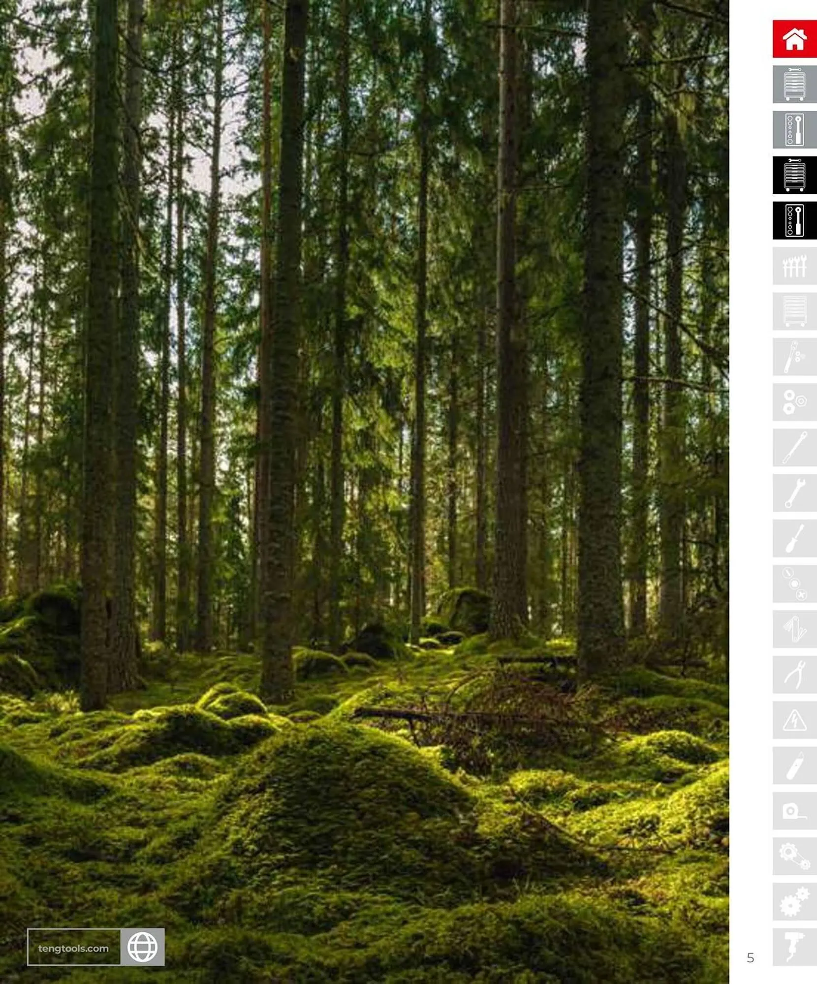 Teng Tools catalogue - Catalogue valid from 28 March to 31 December 2025 - page 6