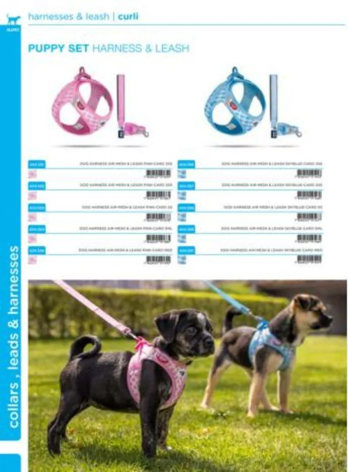 Dog Catalogue 2024 - Catalogue valid from 4 January to 31 December 2024 - page 54