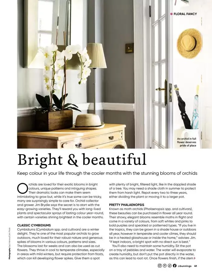 Bunnings Magazine March 2025 - Catalogue valid from 1 March to 31 March 2025 - page 41